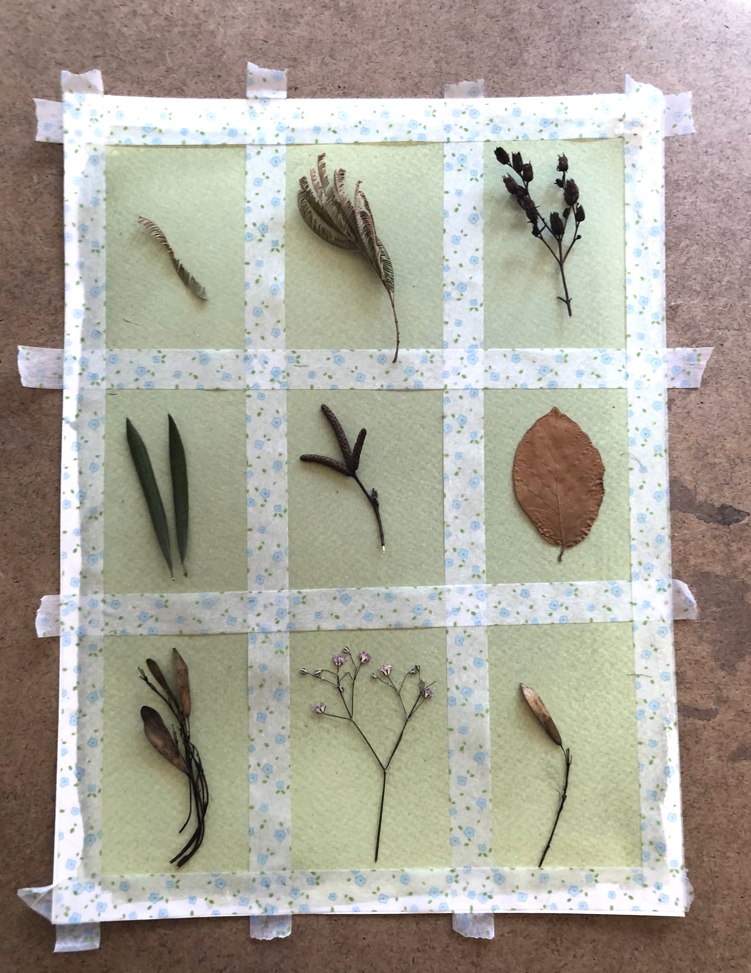 Cyanotype Printing workshop with Cressida Murray