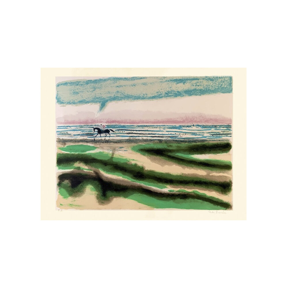 Cavalier Sur La Plage