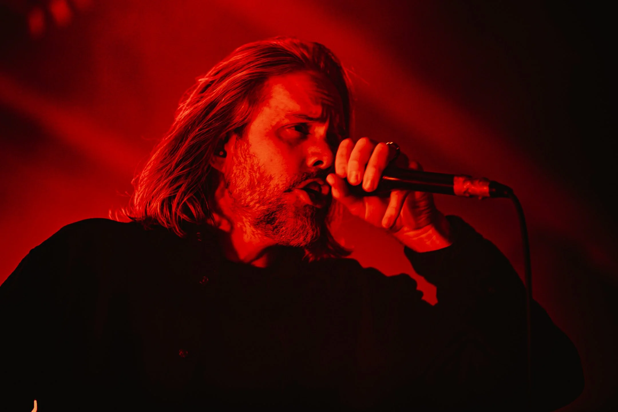 aperkovich-BTBAM-1.JPG