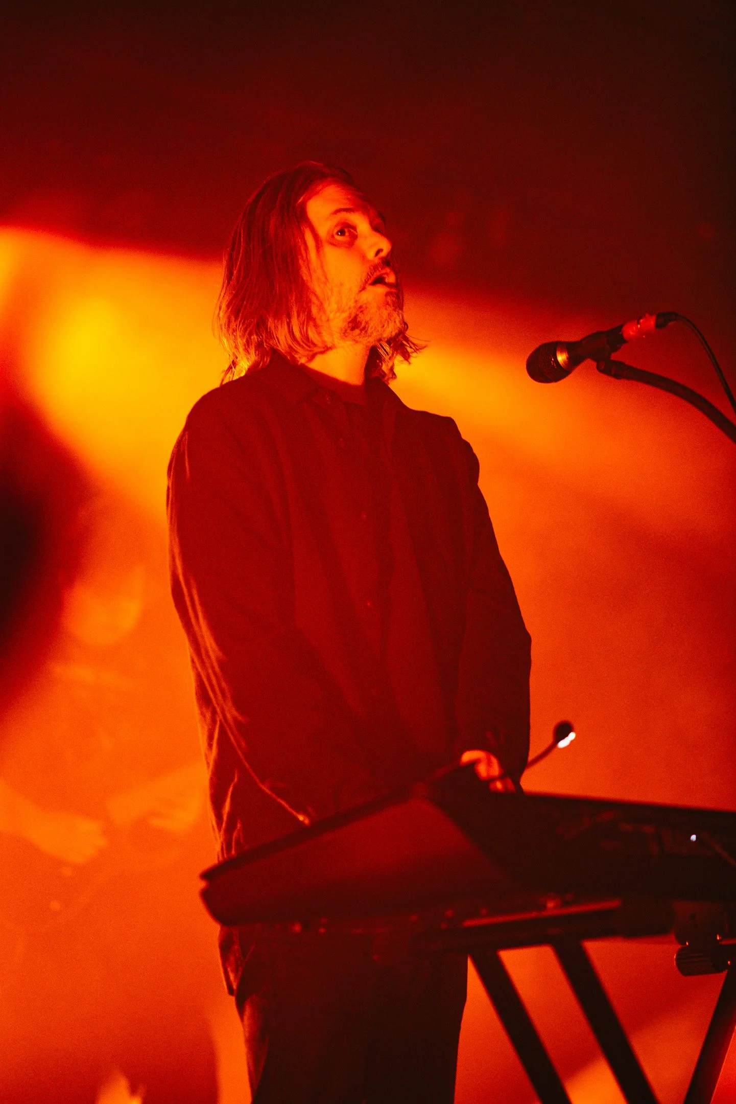aperkovich-BTBAM-10.JPG
