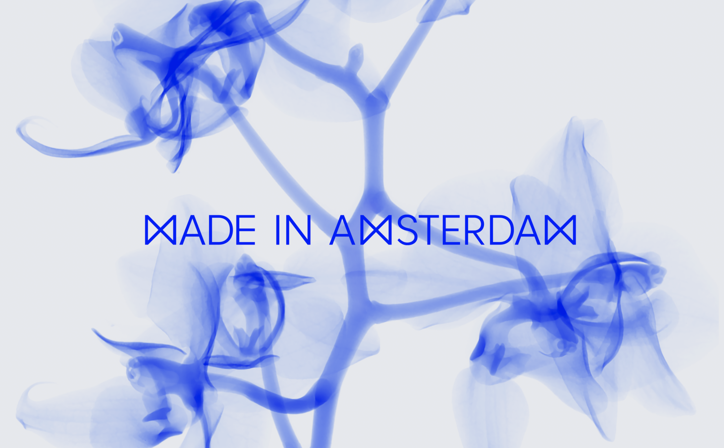 Screenshot 2021-10-27 at 11.45.40.png