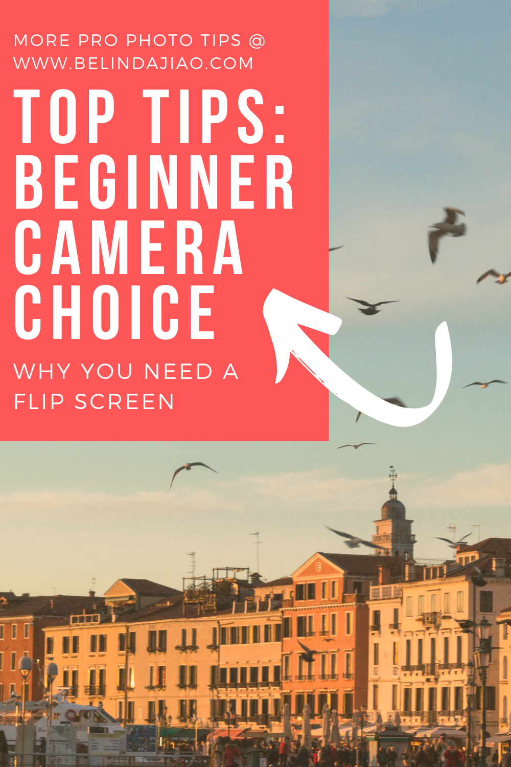 Top Tips on Beginner camera choice.png