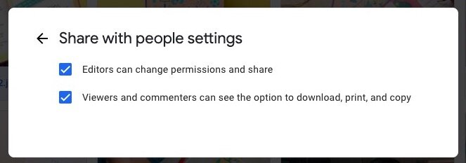 Google Drive Viewer and Commenters permission
