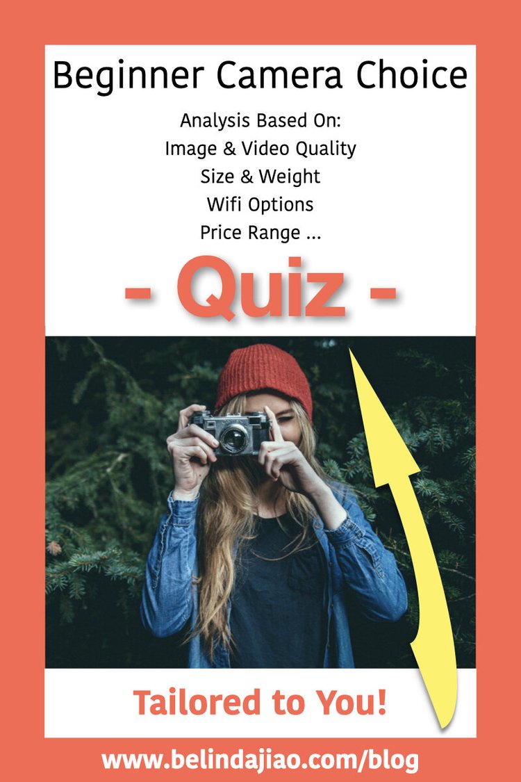 Quiz What Camera should I get? Best Budget Beginner Cameras 2021
