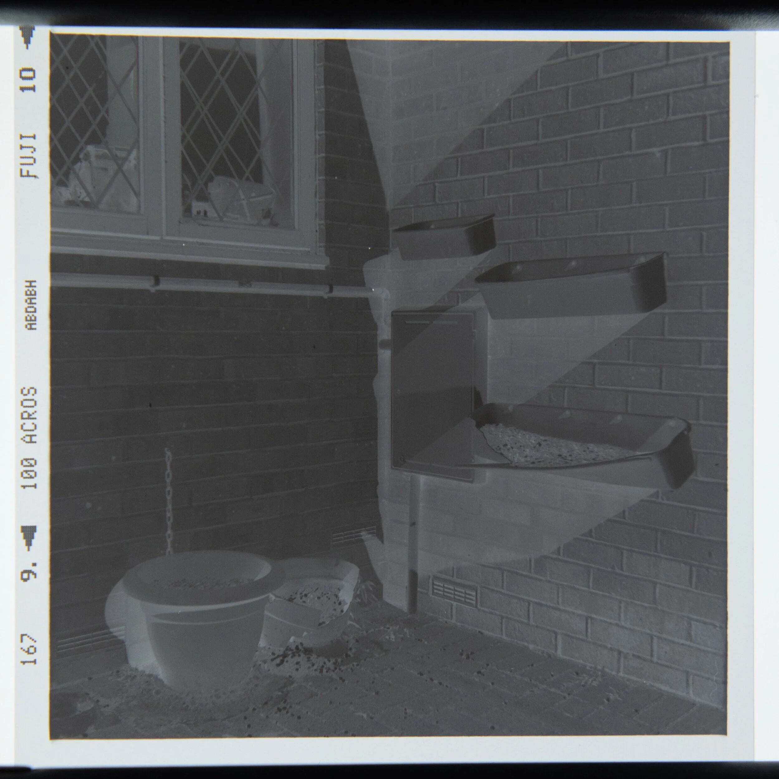 What does a Good Film Negative Look Like? — Belinda Jiao Photography