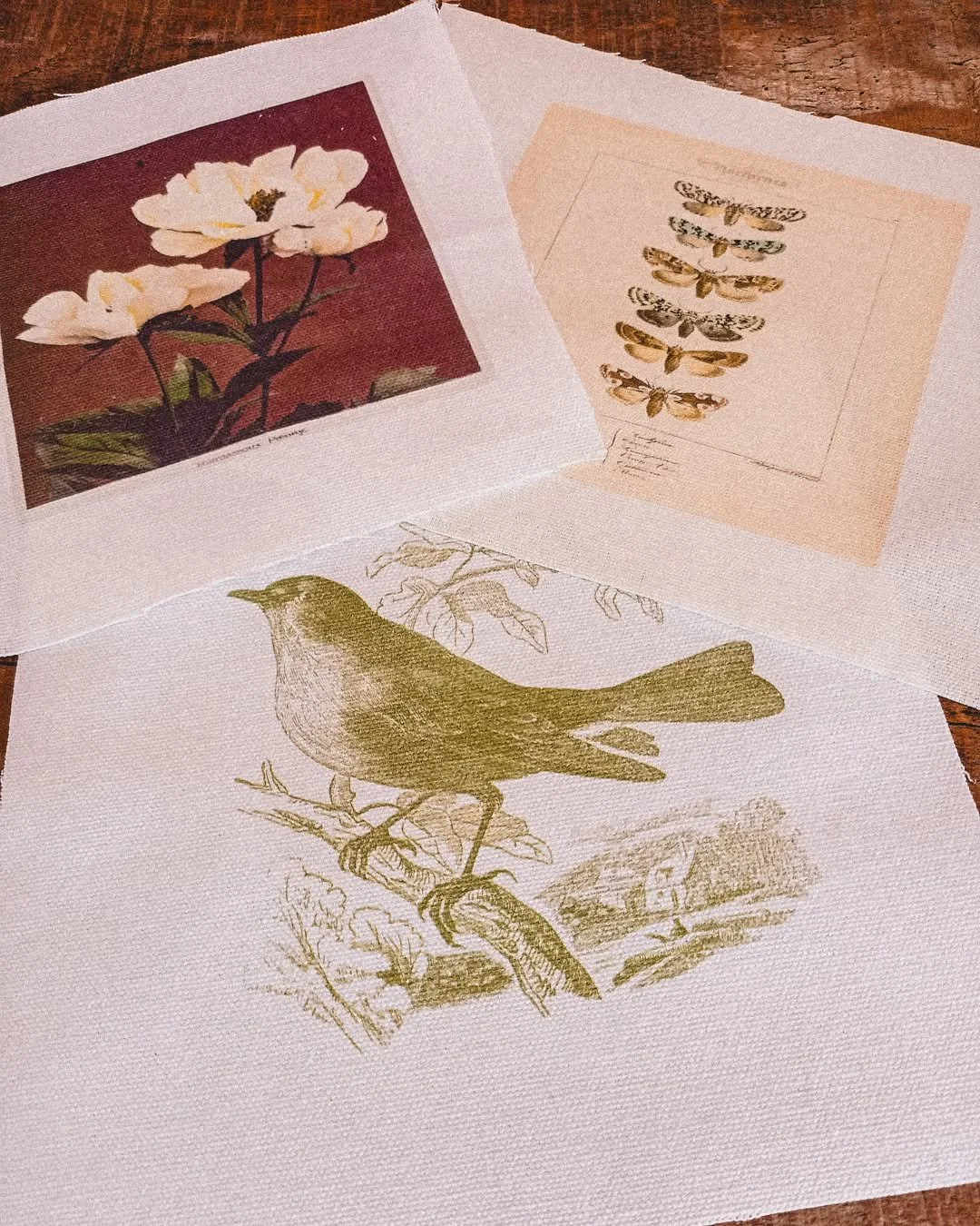 We've recently restocked our small printed fabric panels.
There are a few new designs too, all printed in the UK onto pure cotton duck fabric.
They have been used in various ways - framed, sewn onto garments as patches, incorporated into cushion cove