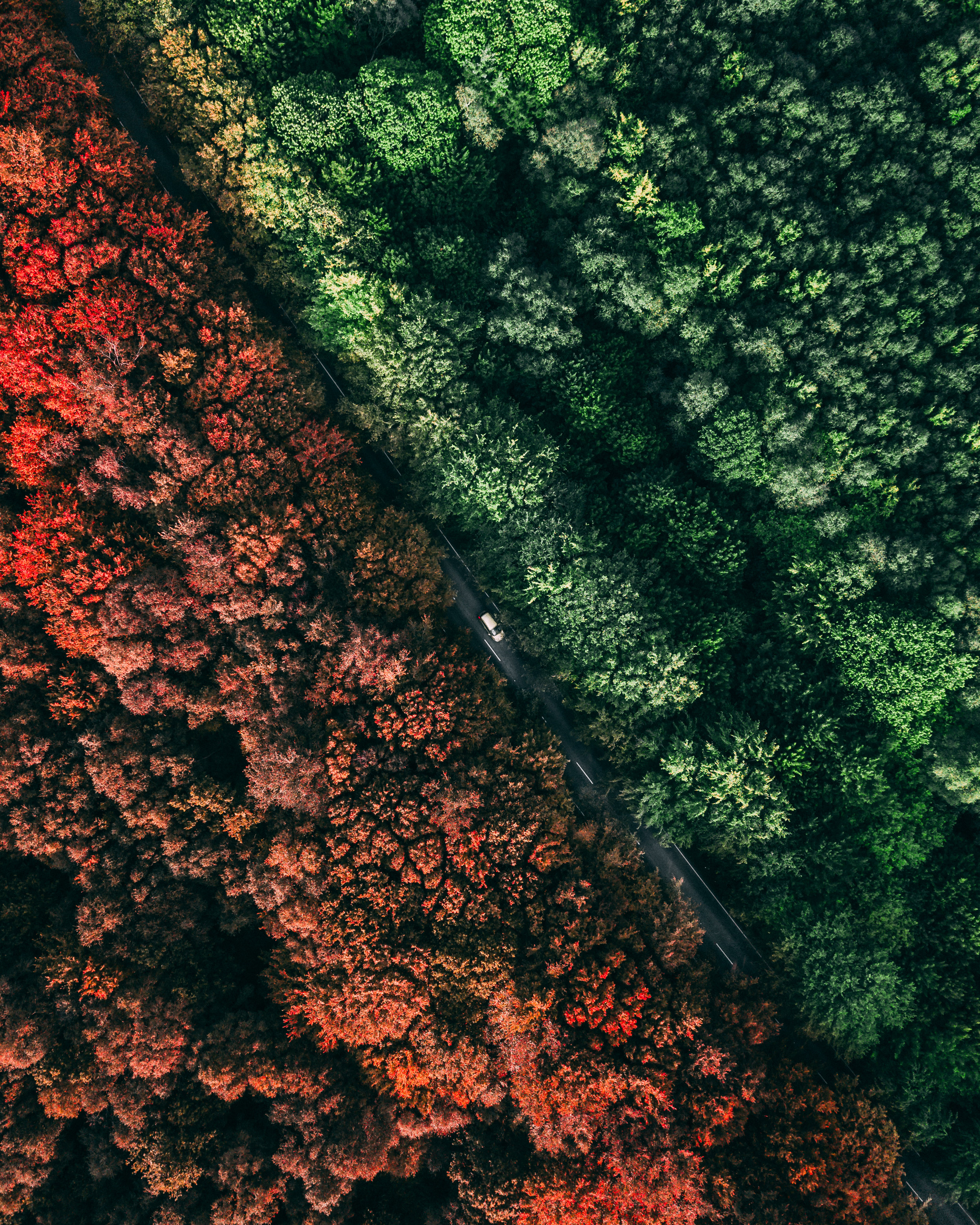 The Transitory Nature Of Being