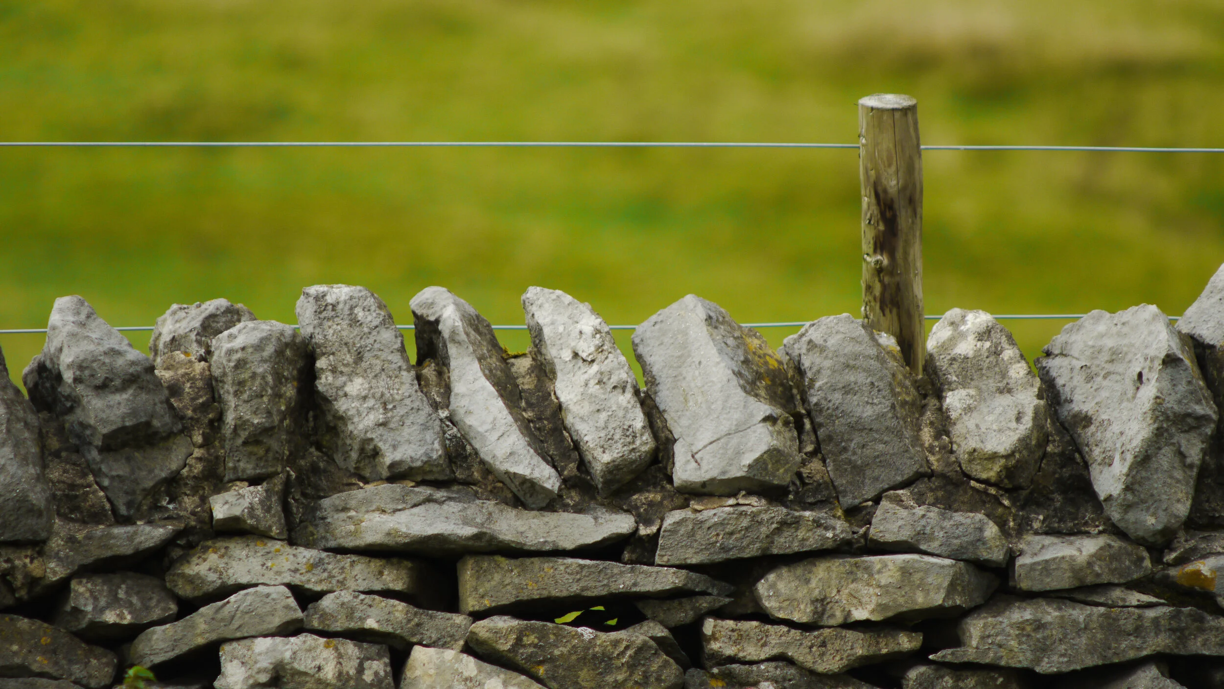 party_wall_blog_may