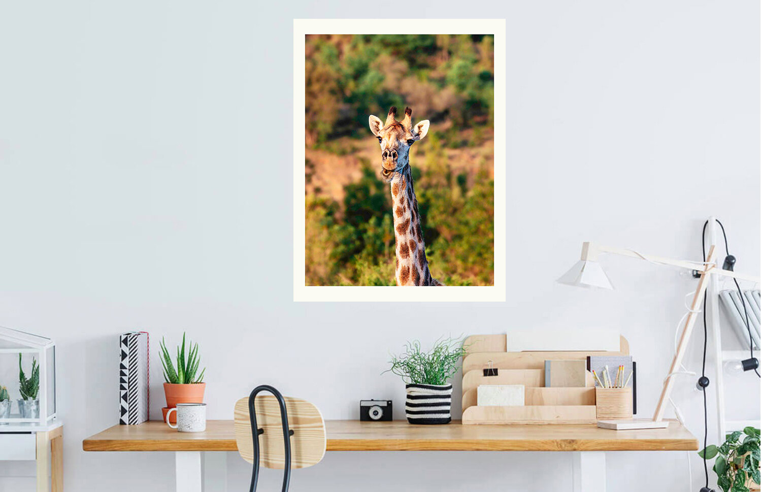 Giraffe 2.jpg