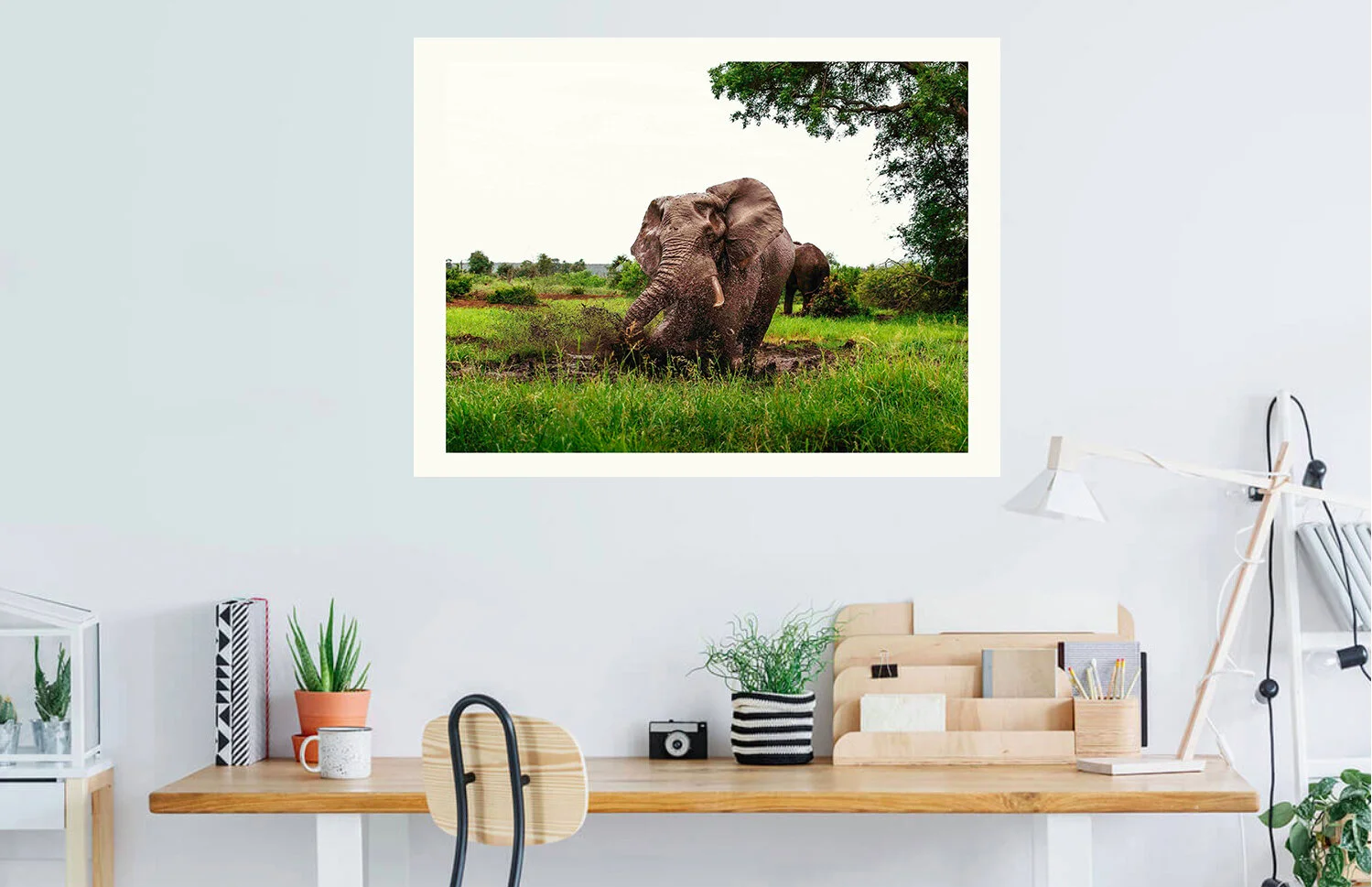 Elephant 2.jpg