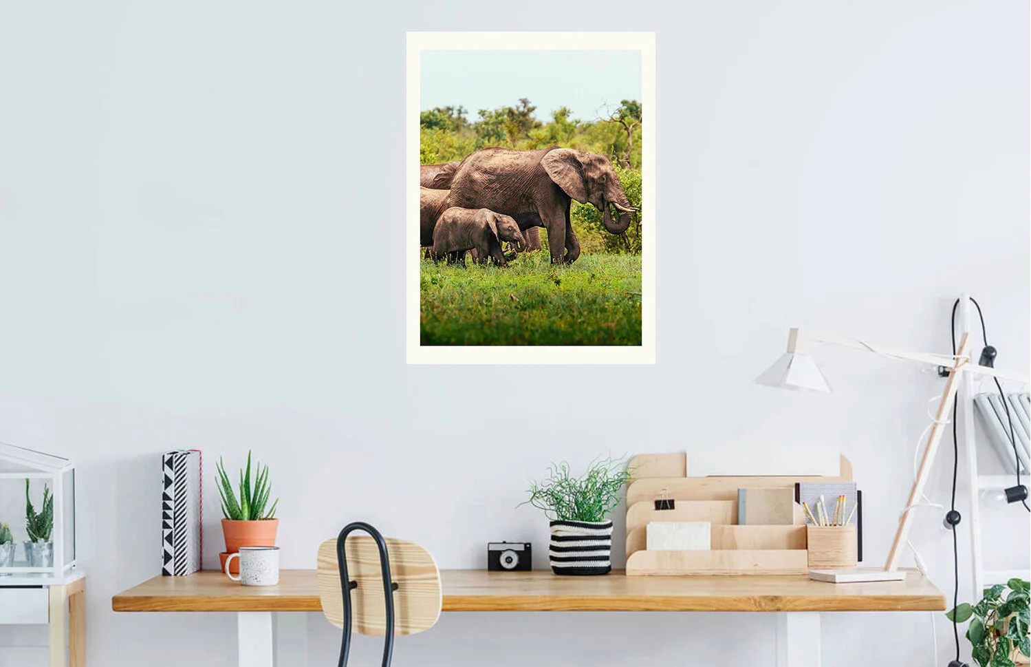 Elephants 2.jpg