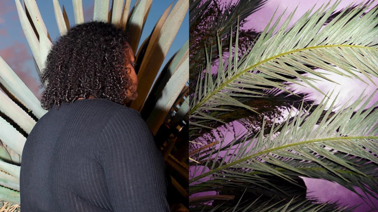 Purcell's Indian Queen