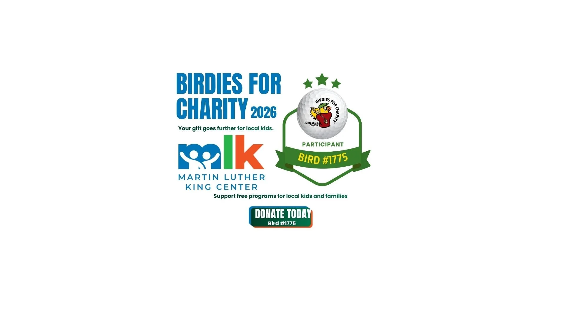 Birdies for charity SQUARESPACE BANNER.jpg