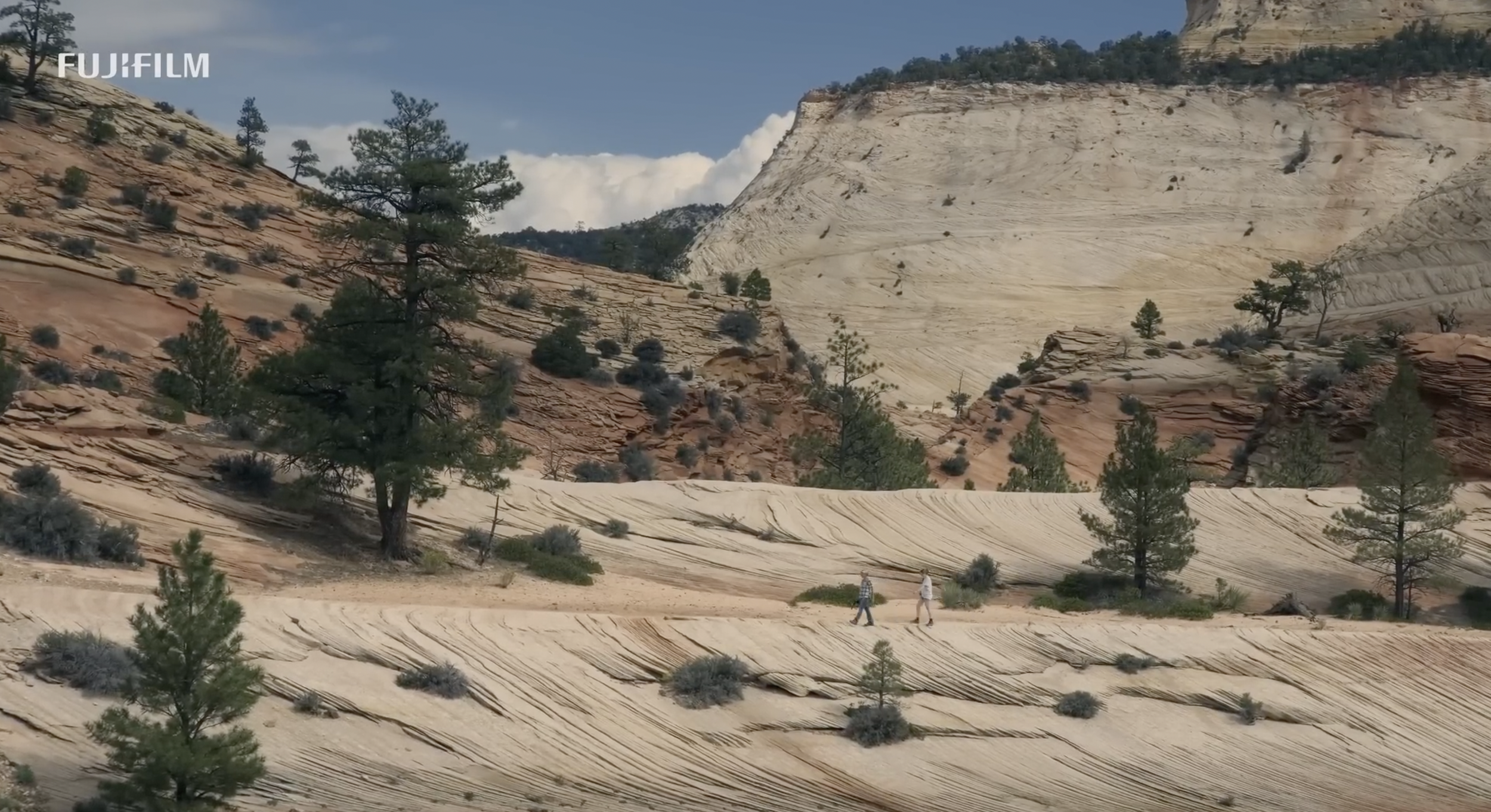 Screen Shot 2022-12-05 at 12.45.04 PM.PNG