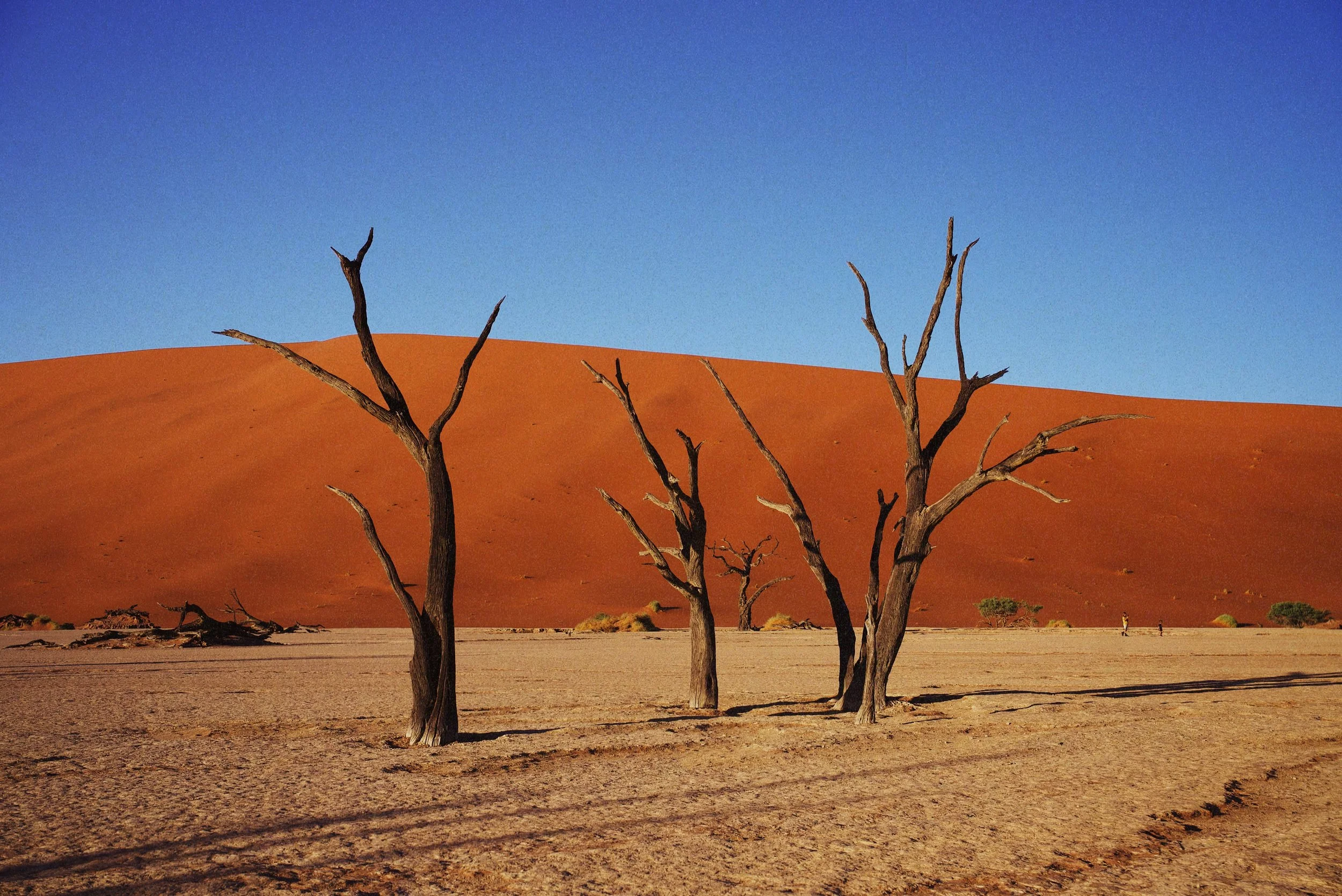 FF5DF191-477E-4FF8-83FD-7793A3341C5C 3.JPG