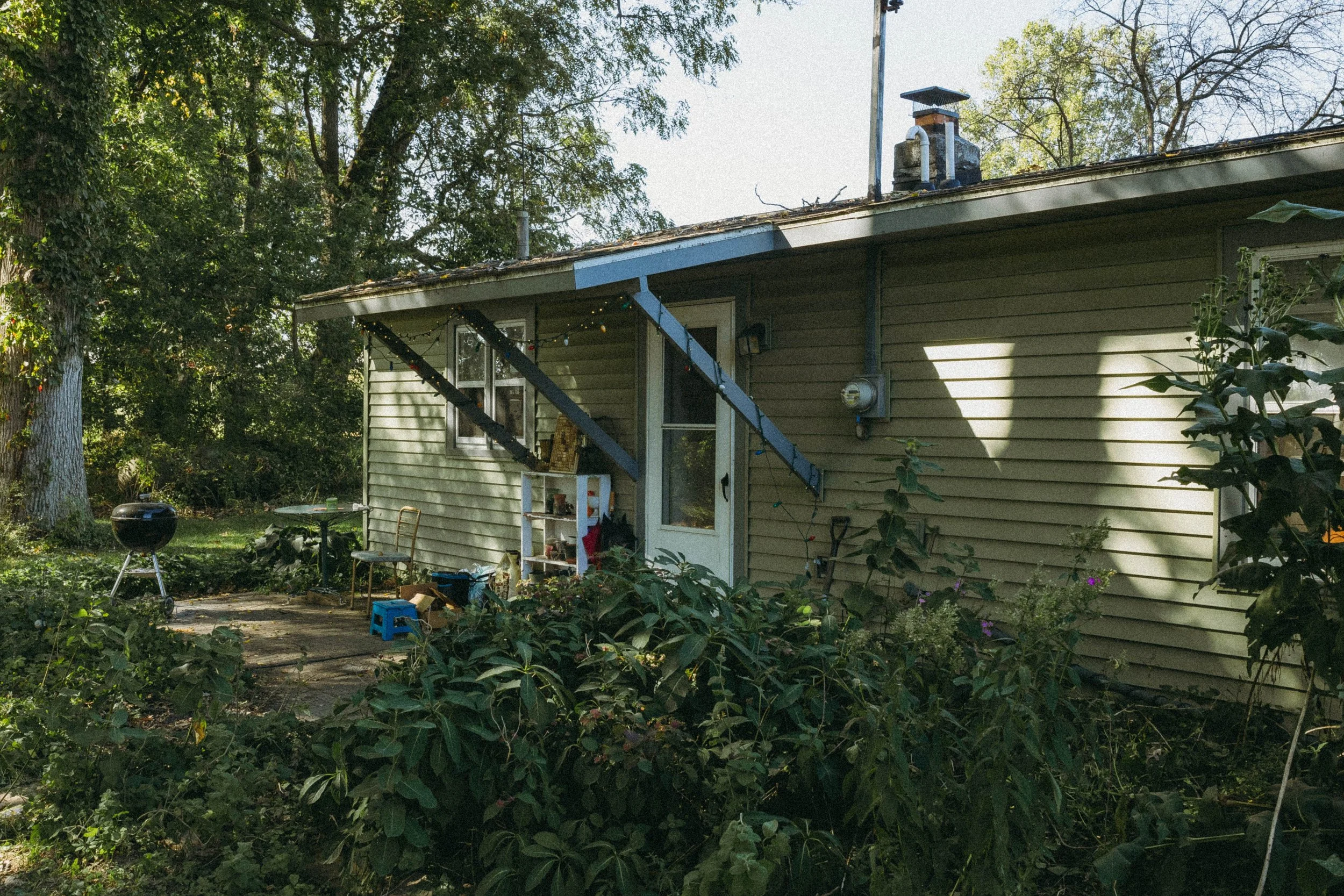 LTP17551.jpg