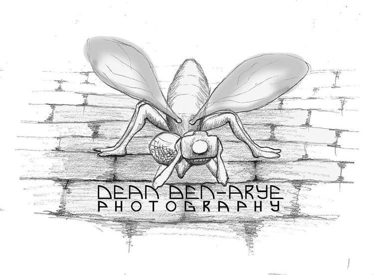 Dean Ben-Arye Photography