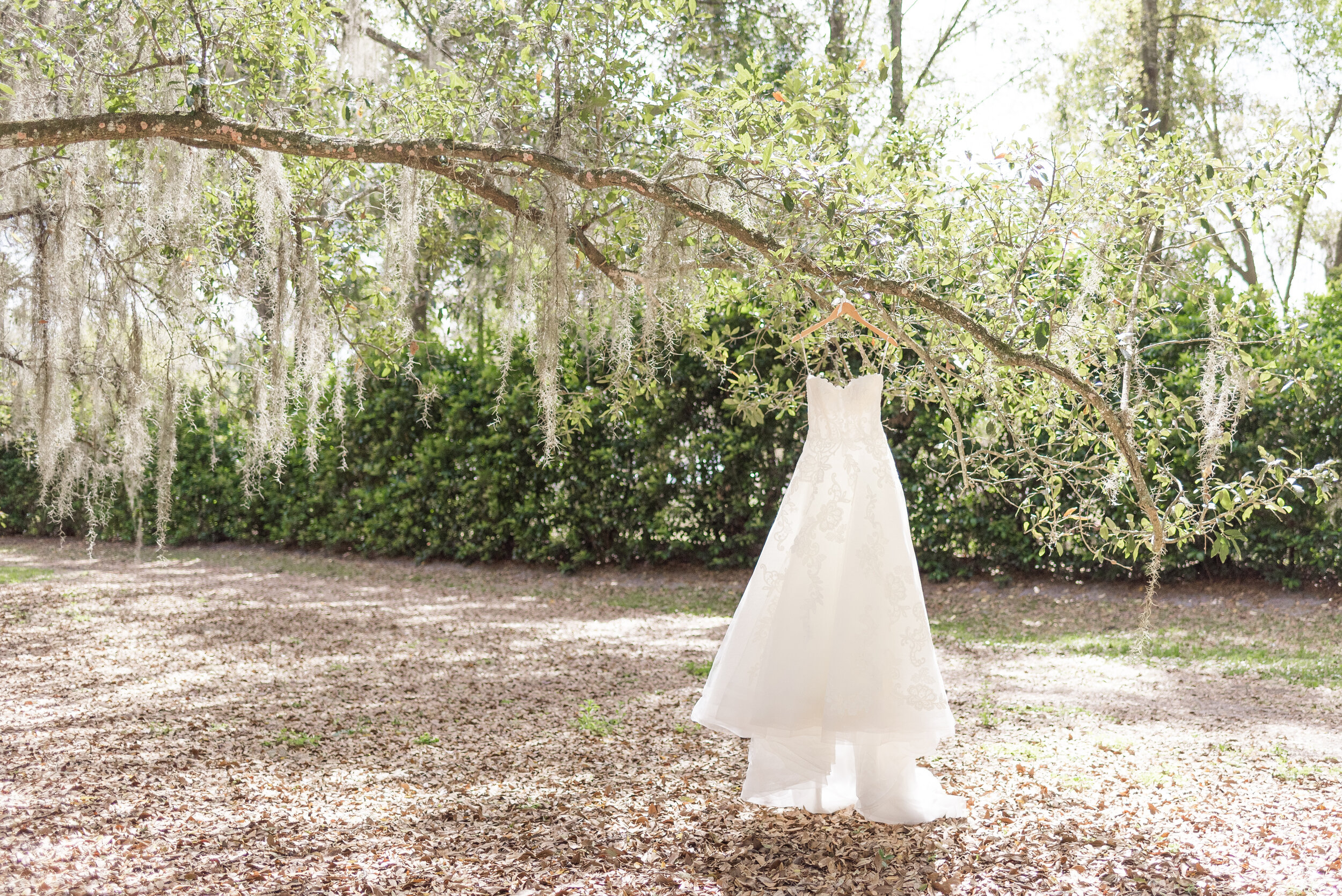 Bowing-Oaks-Plantation-Wedding-Brent-Madison-1.jpg