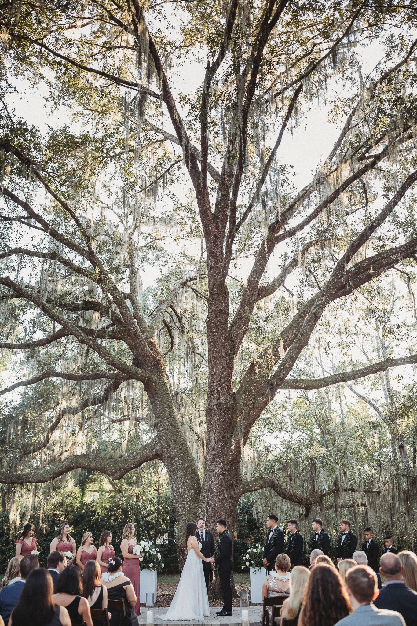 Caleo Photography_Bowing Oaks Florida Wedding-40.jpg