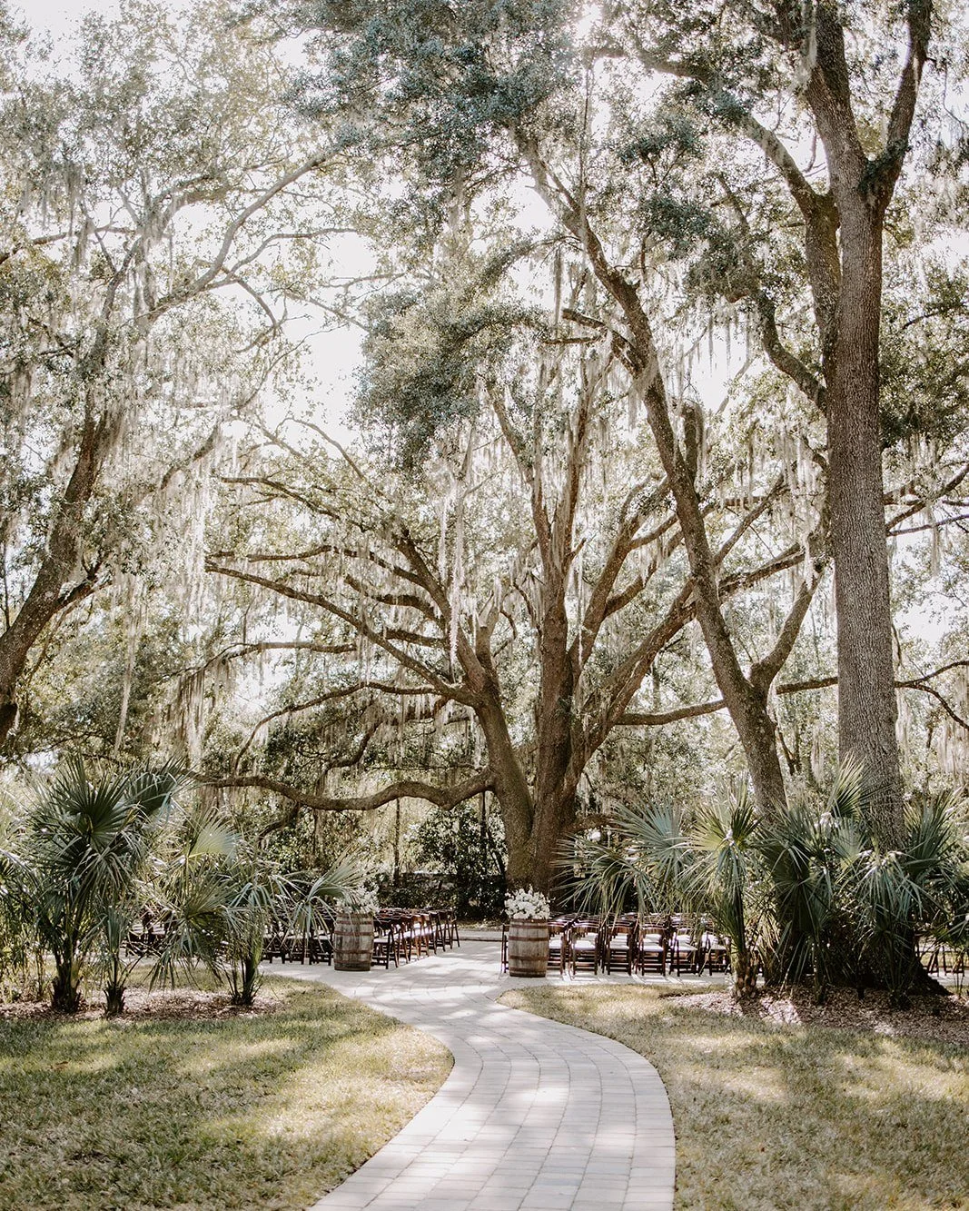 There is nothing more quintessentially Southern than a wedding beneath a canopy of live oaks, where Spanish moss sways gently and time seems to slow. These are the settings where traditions feel at home, vows feel deeper, and celebrations feel truly 