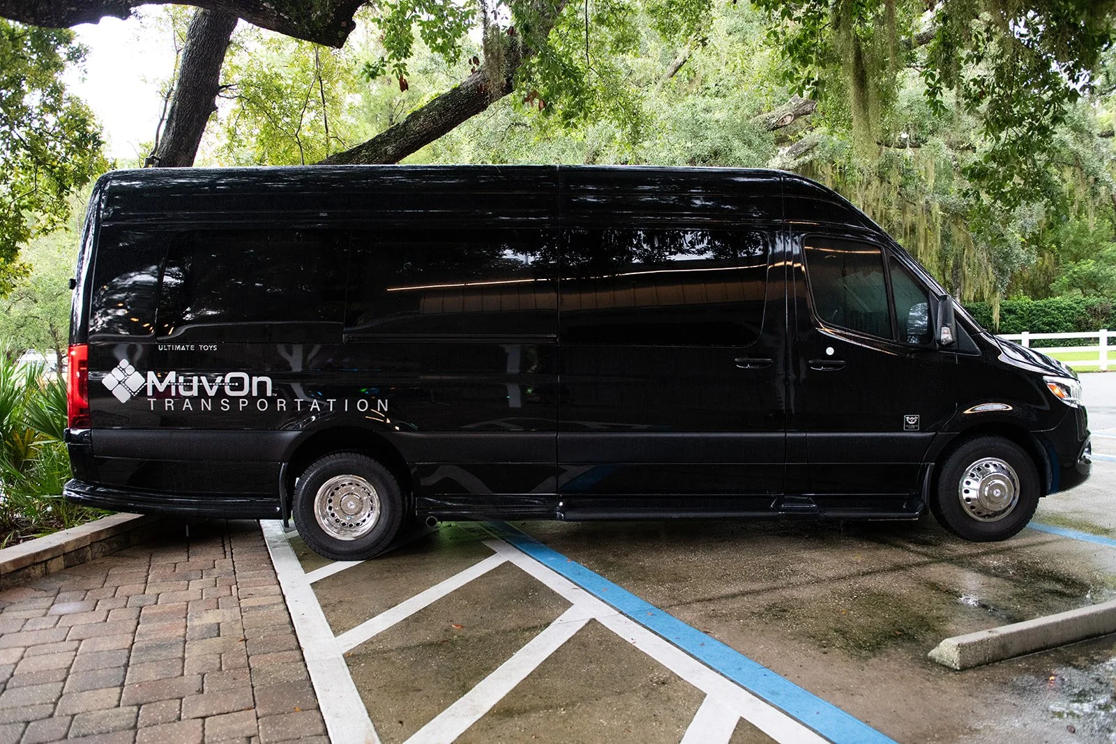 Jacksonville-photographer-6938.jpg