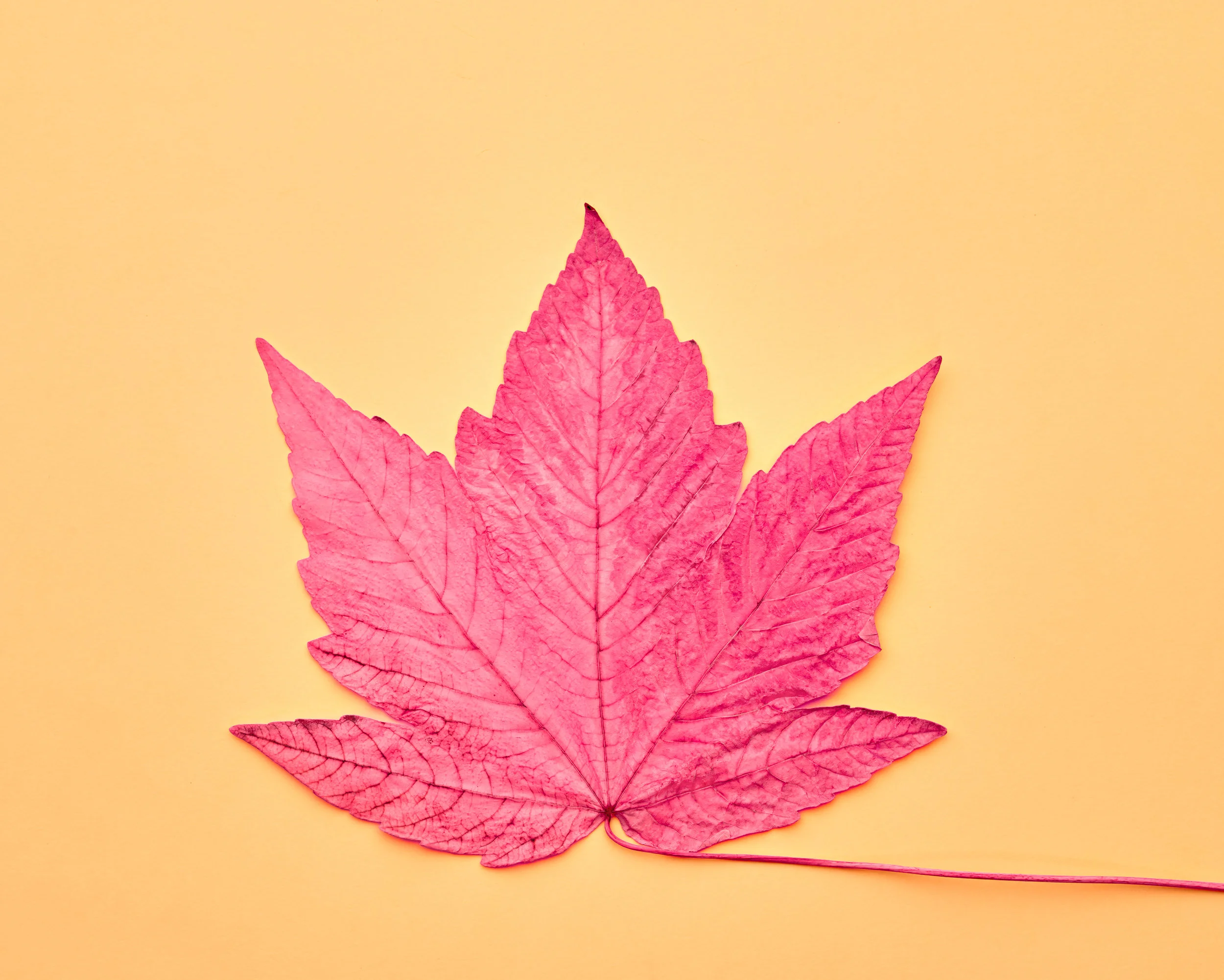 Do less, but do it better!