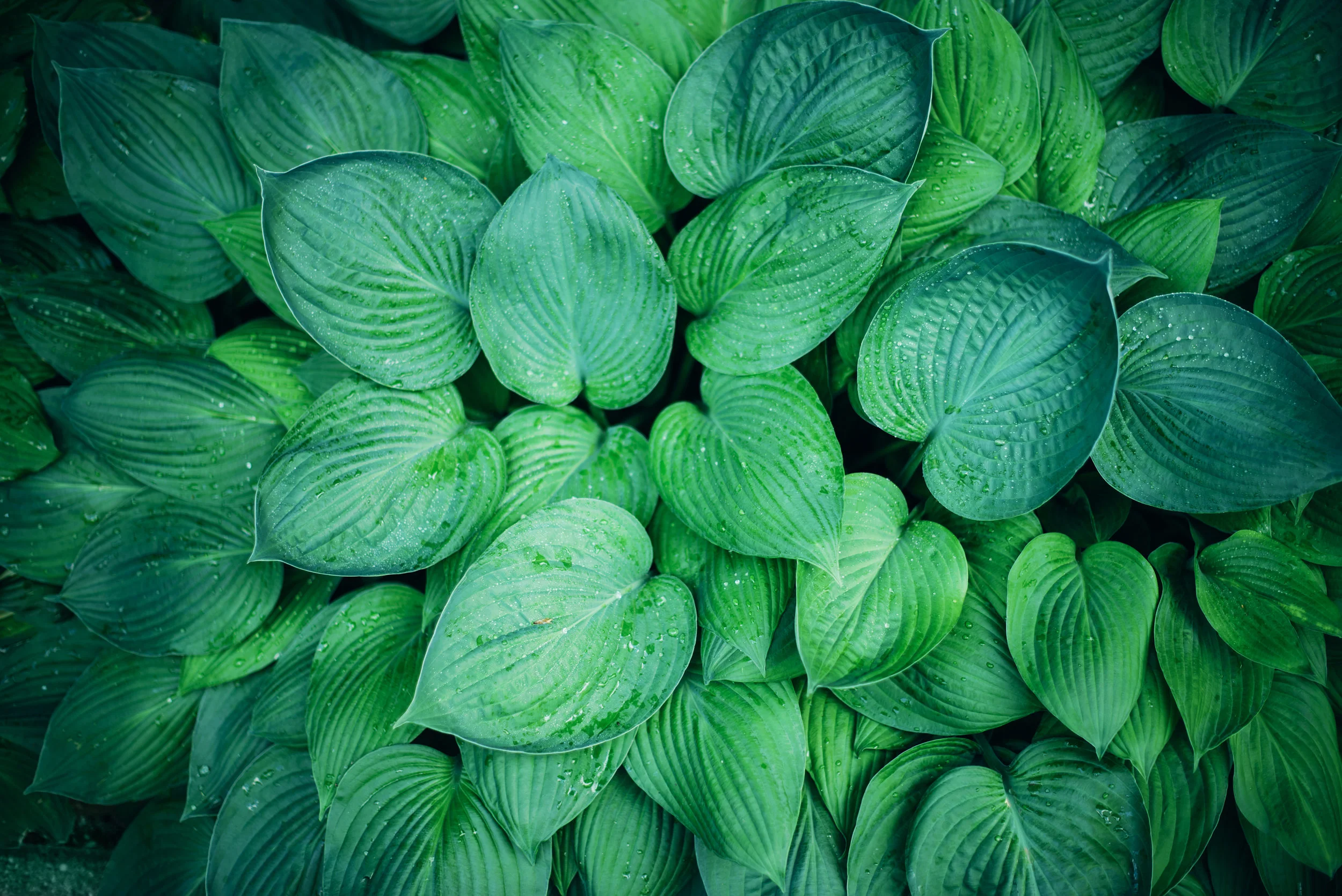 Two Simple Techniques to Take Back your Time