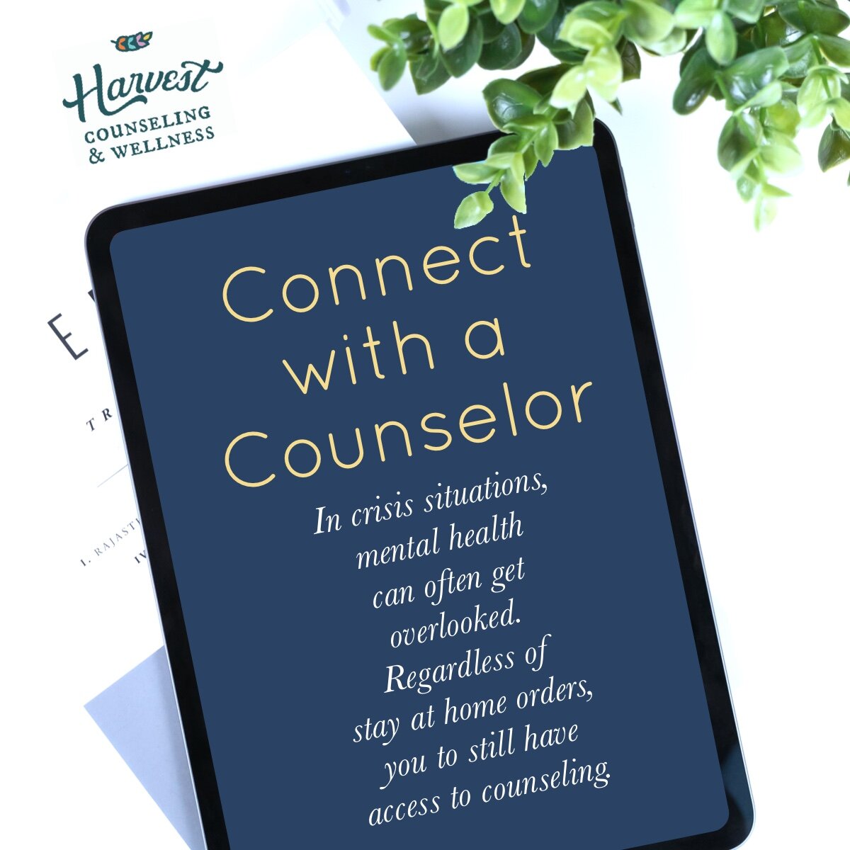 Online Counseling Sessions at Harvest