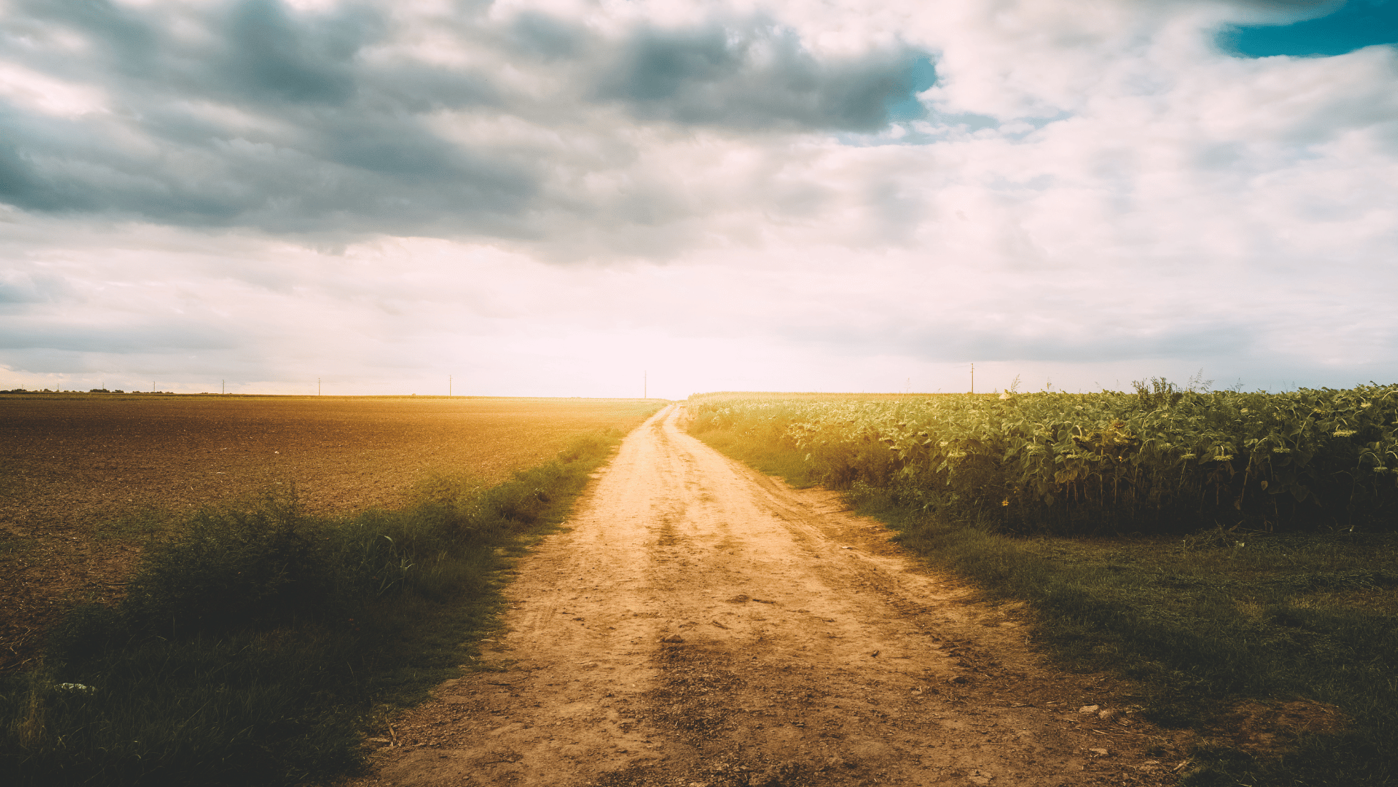 Are You Stuck in Survival Mode? Signs of Unresolved Trauma