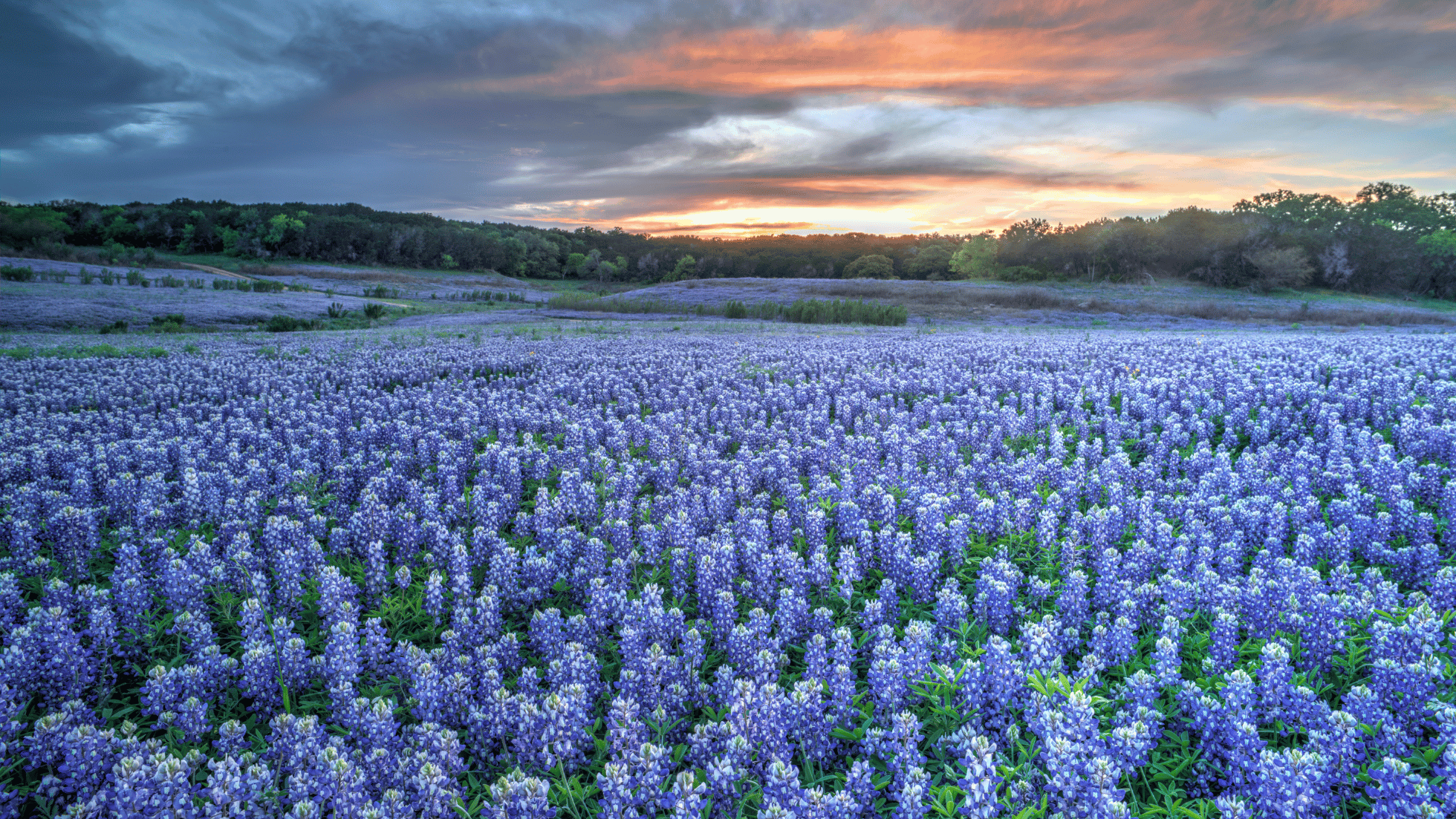 The 2026 North Texas Mental Health Roadmap: Finding Support in Argyle, Denton, and Beyond