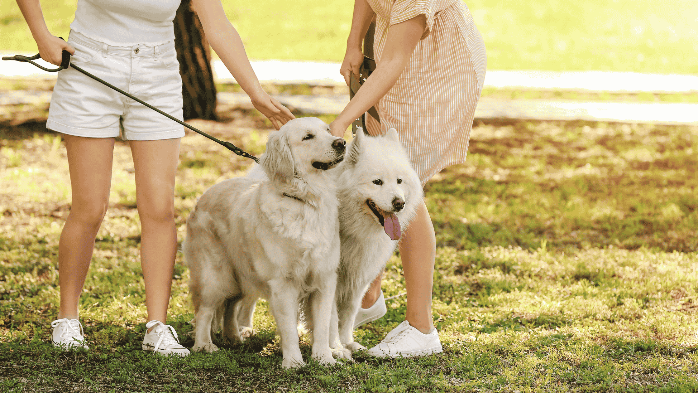 Walk-and-Talk Therapy