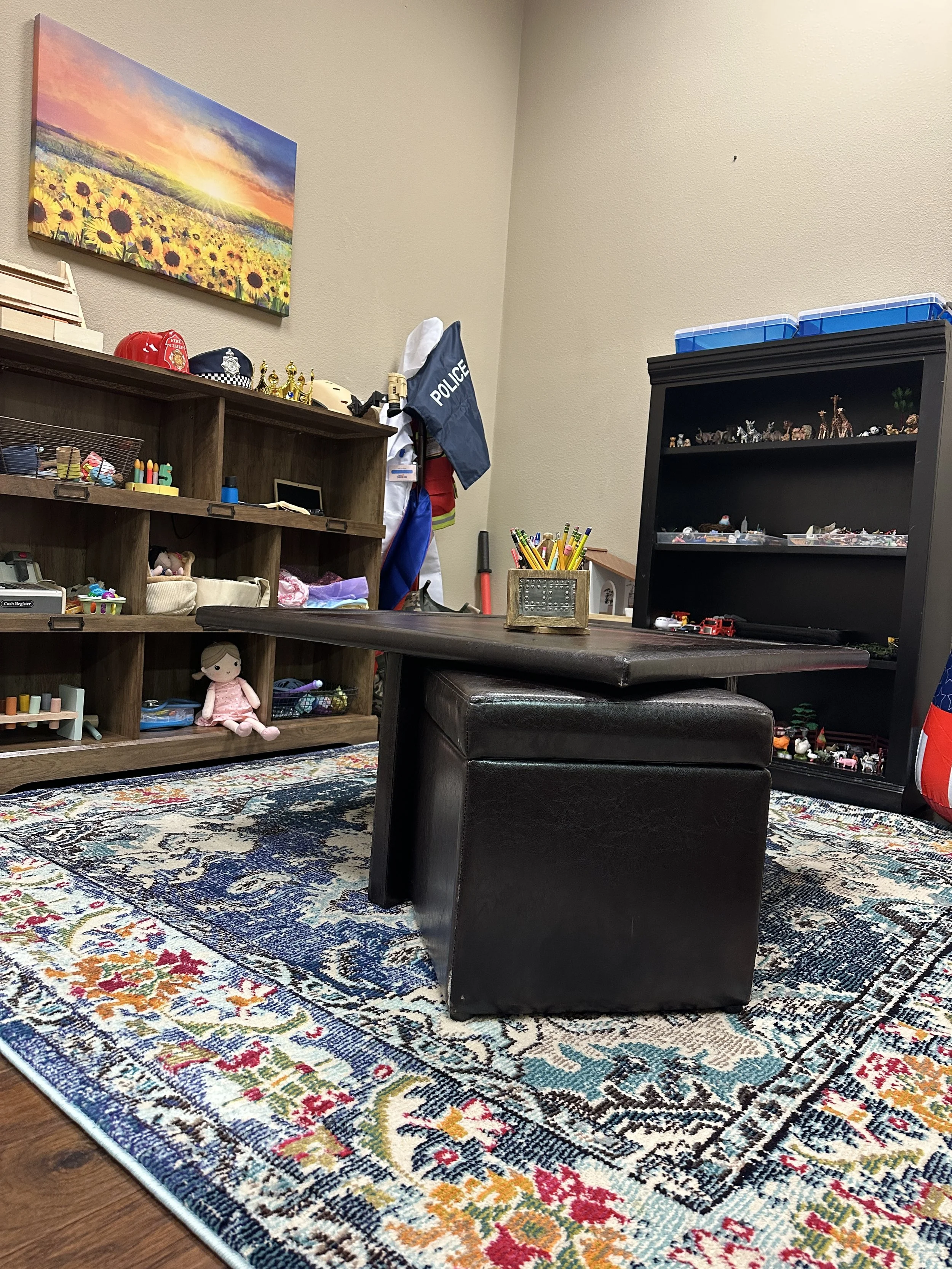 Play Therapy Room