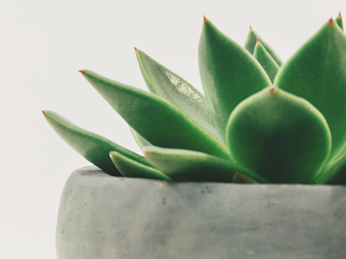 Argyle & Trophy Club, TX Psychiatry services to nurture a long-term, trusting relationship--not to prescribe a medication & send you on your way. We provide psychiatric support with psychiatric evaluations & medication management in the DFW area.
