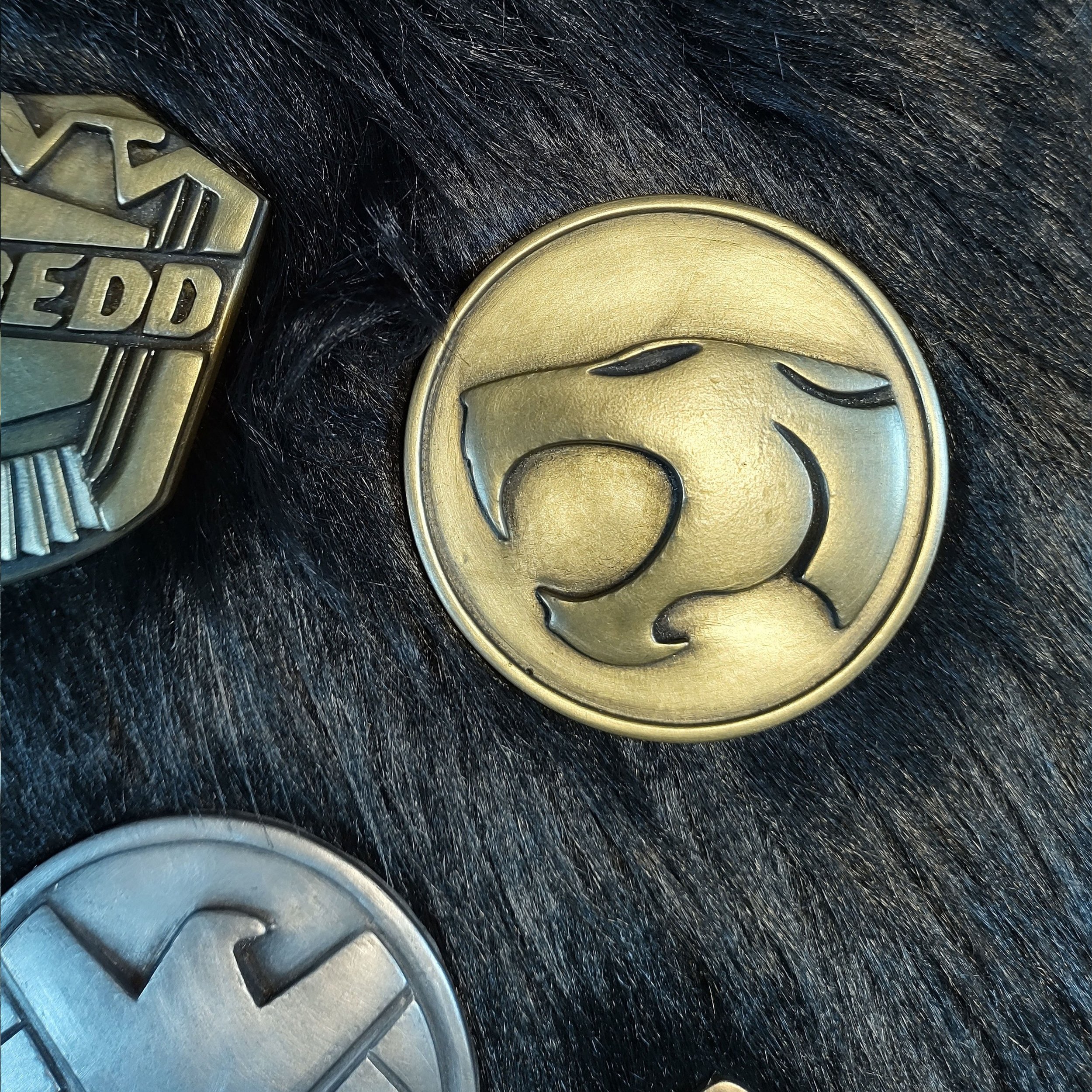 Magnet Badges - Thundercat.jpg