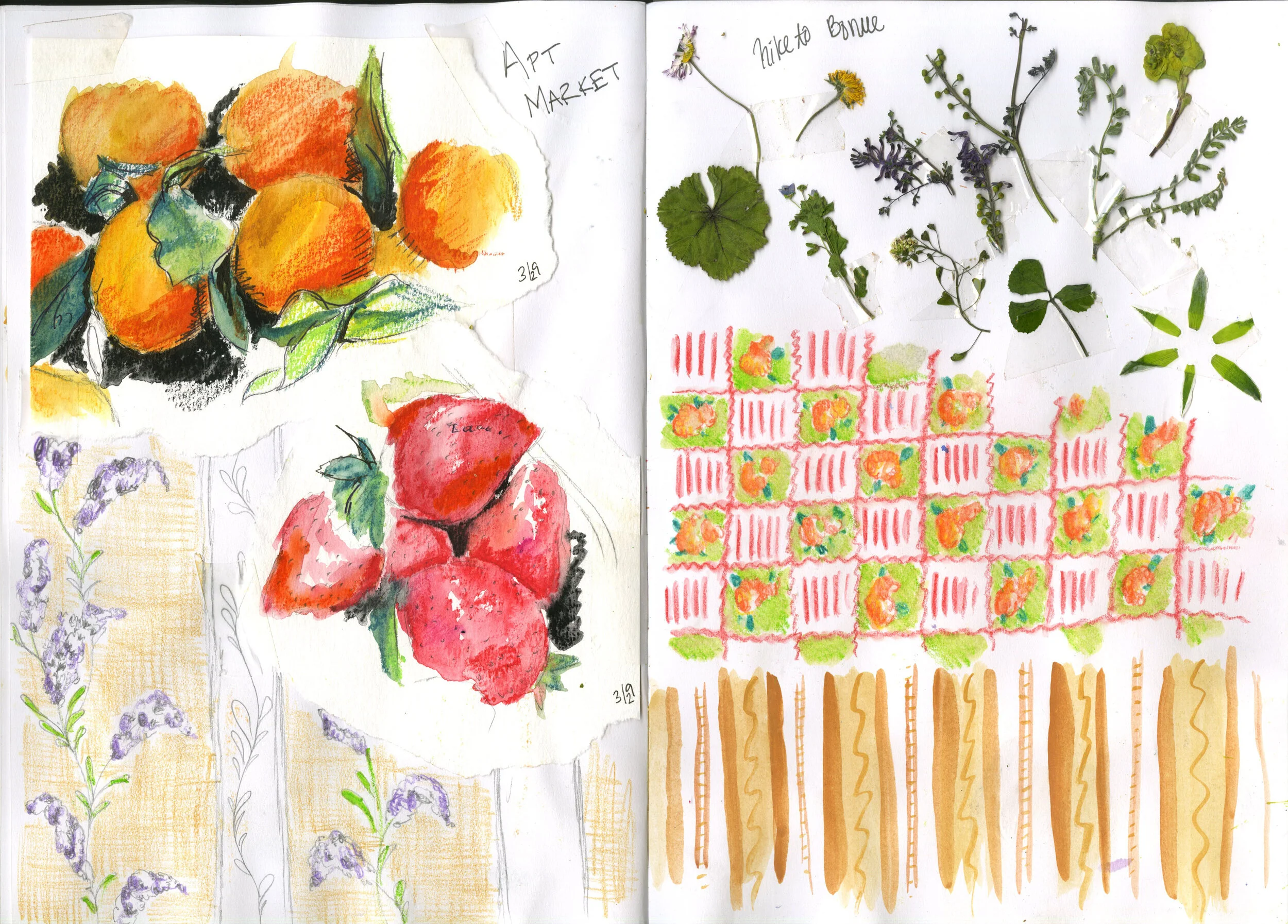 sketchbook_week1007.jpg