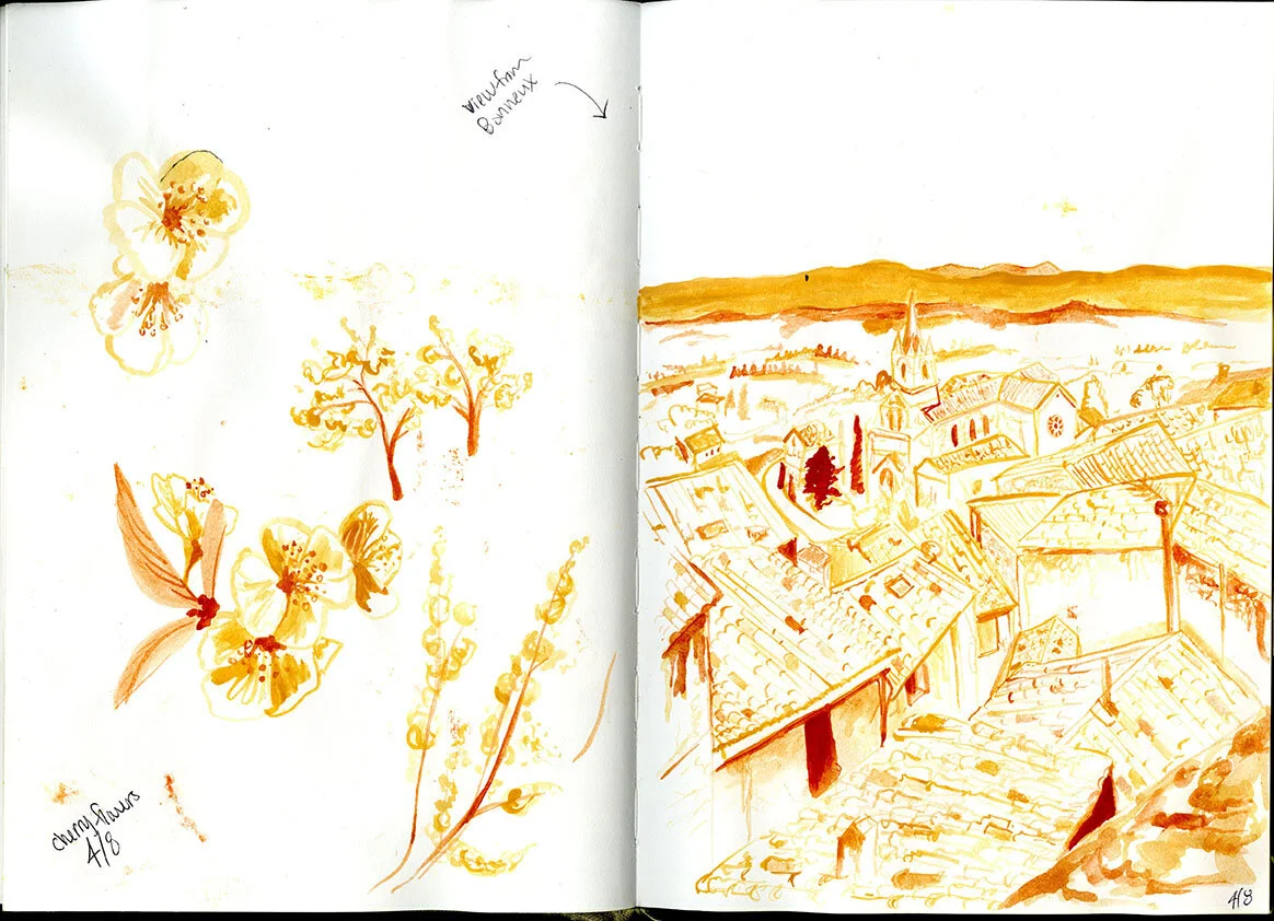 week2_scan001.jpg