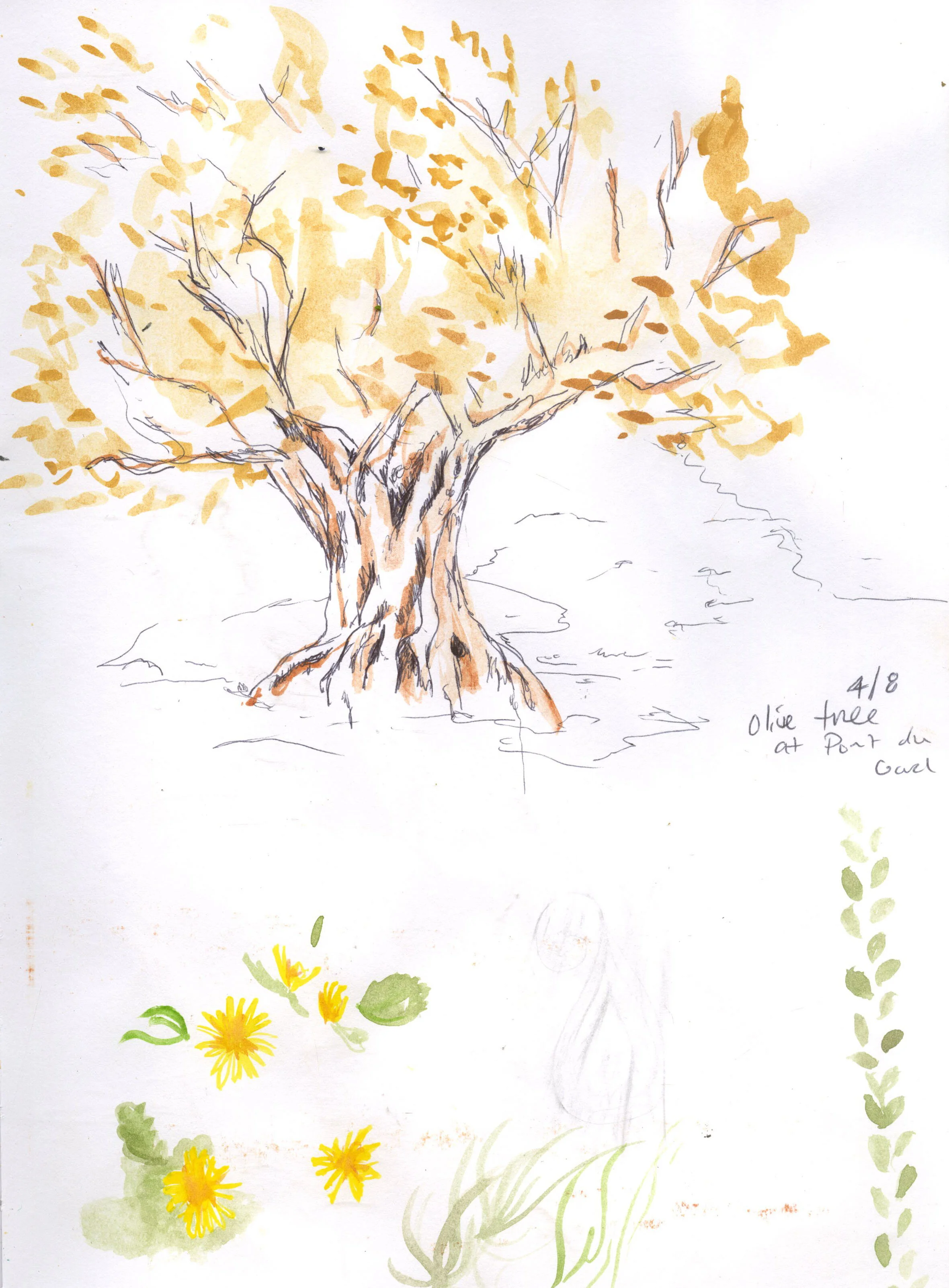sketchbook_week2_001.jpg