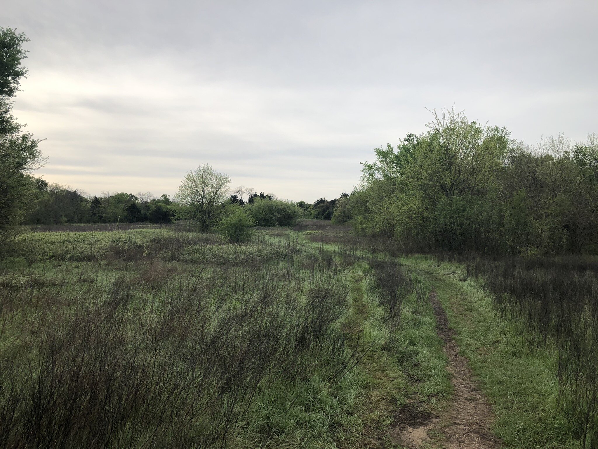 Spring Creek Forest Preserve Photo Journal