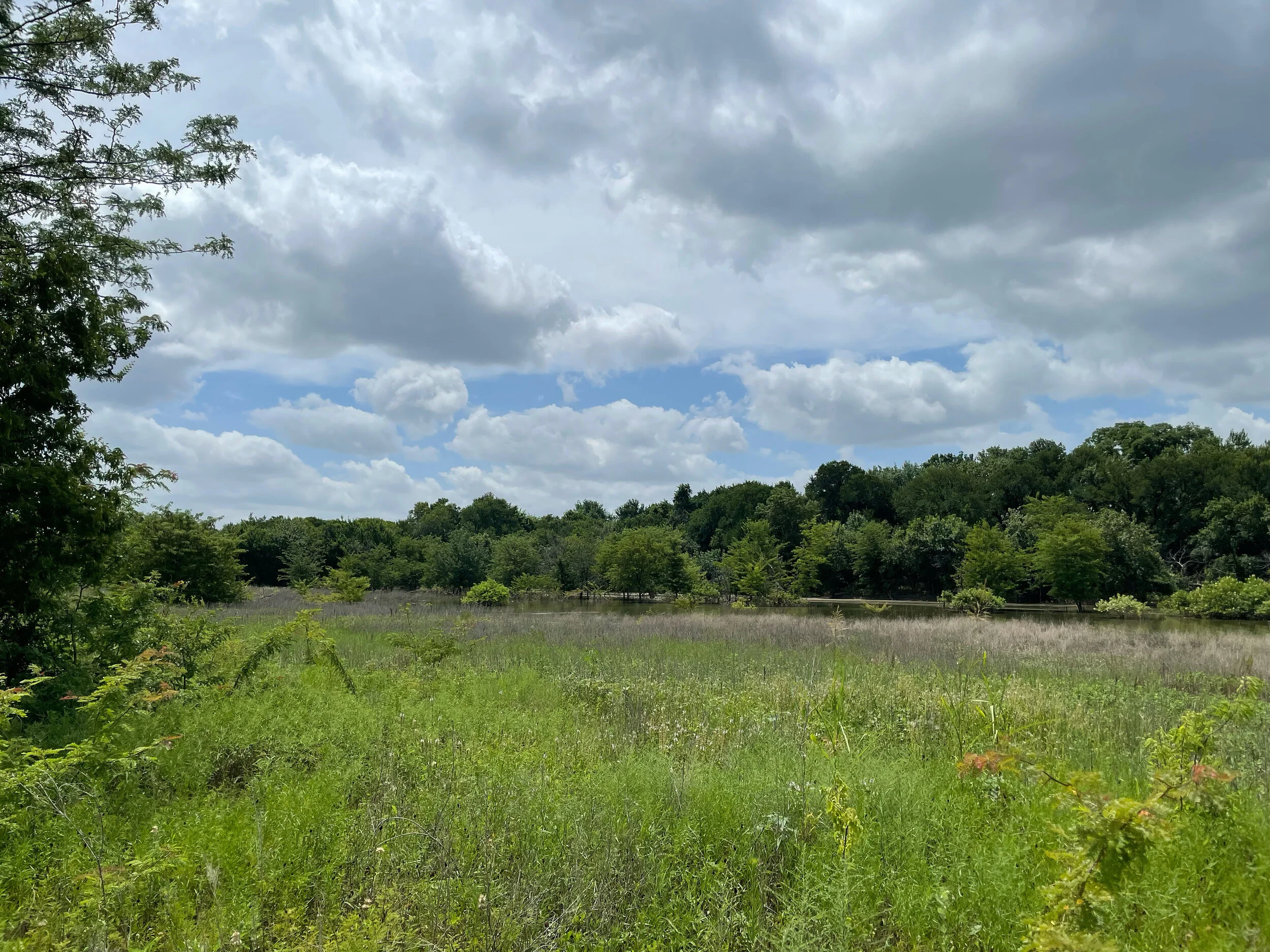 Photo Journal: McCord Park &amp; Lakefront Trail in Little Elm