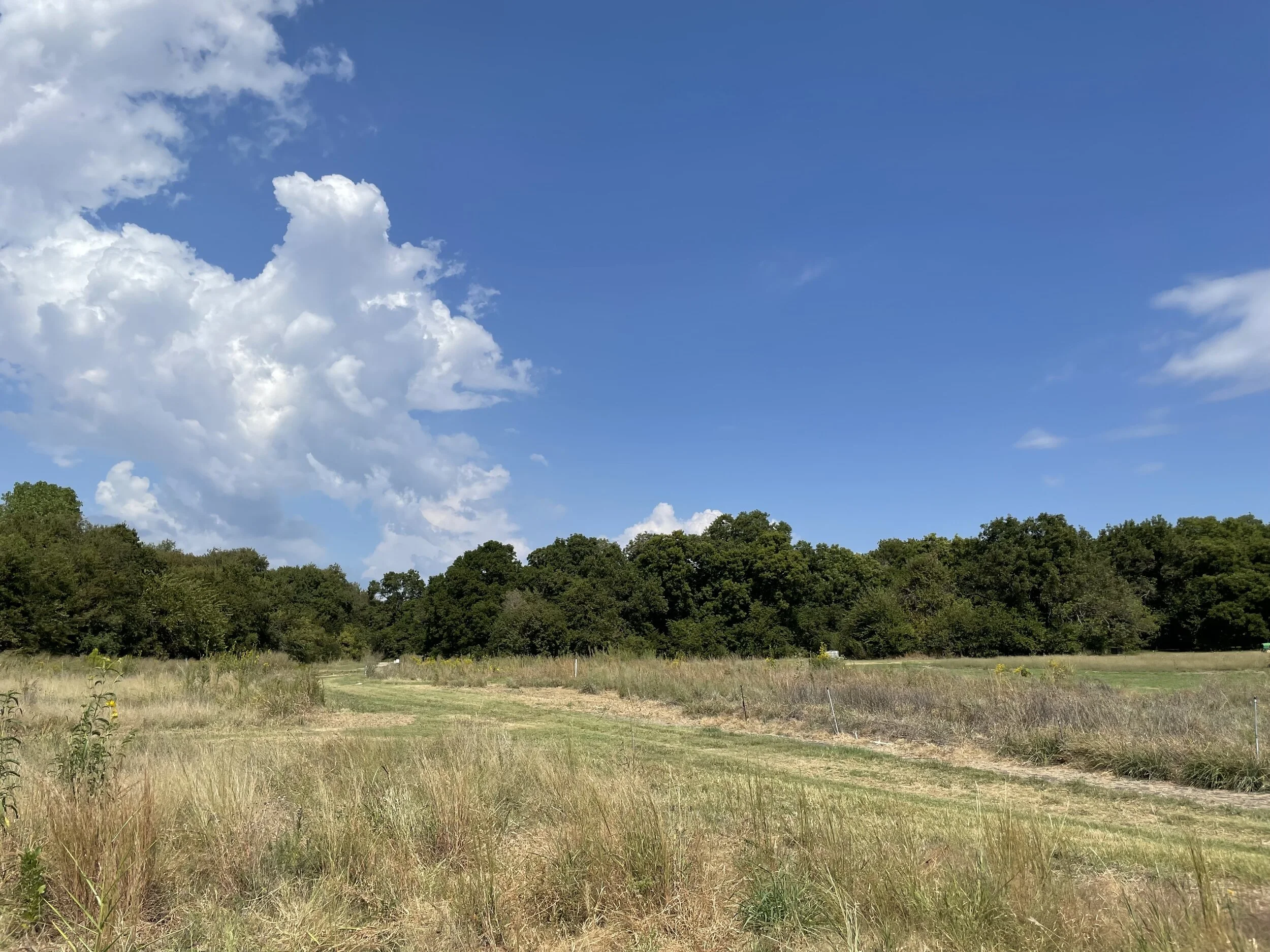 Not knowing where I was going, or the boundaries of the park, I generally followed the mowed paths