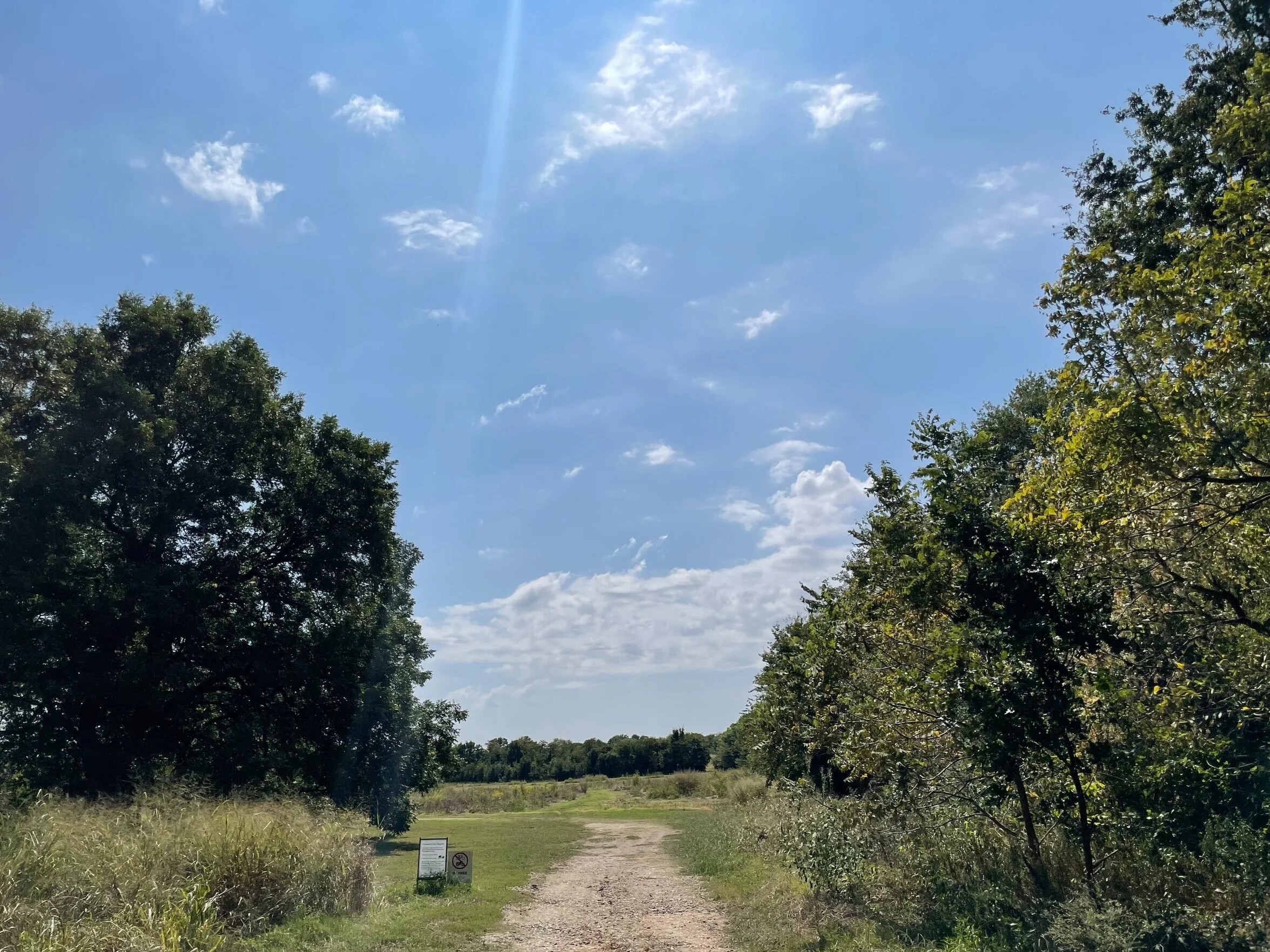 Entering into the meadows