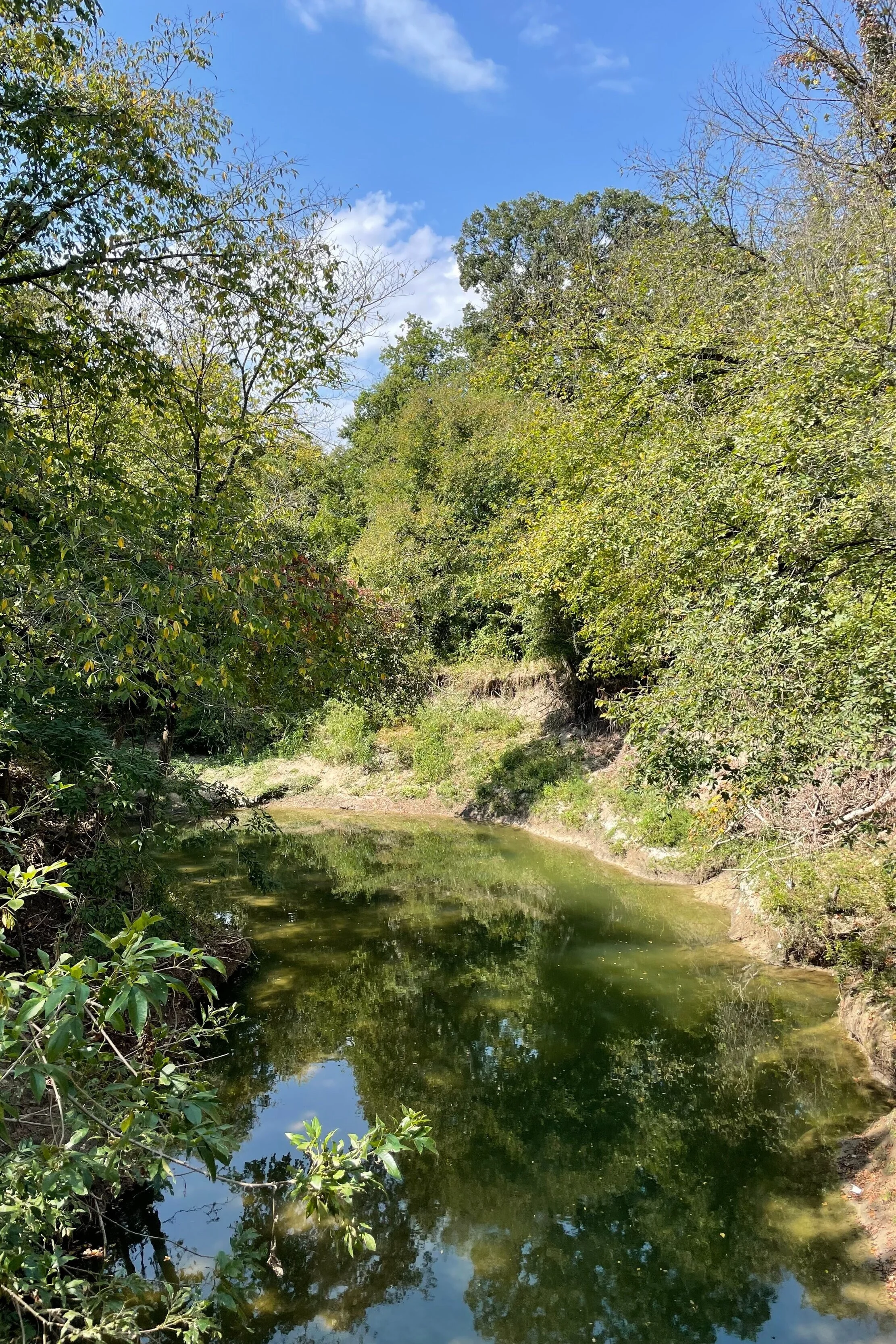 Rowlett Creek