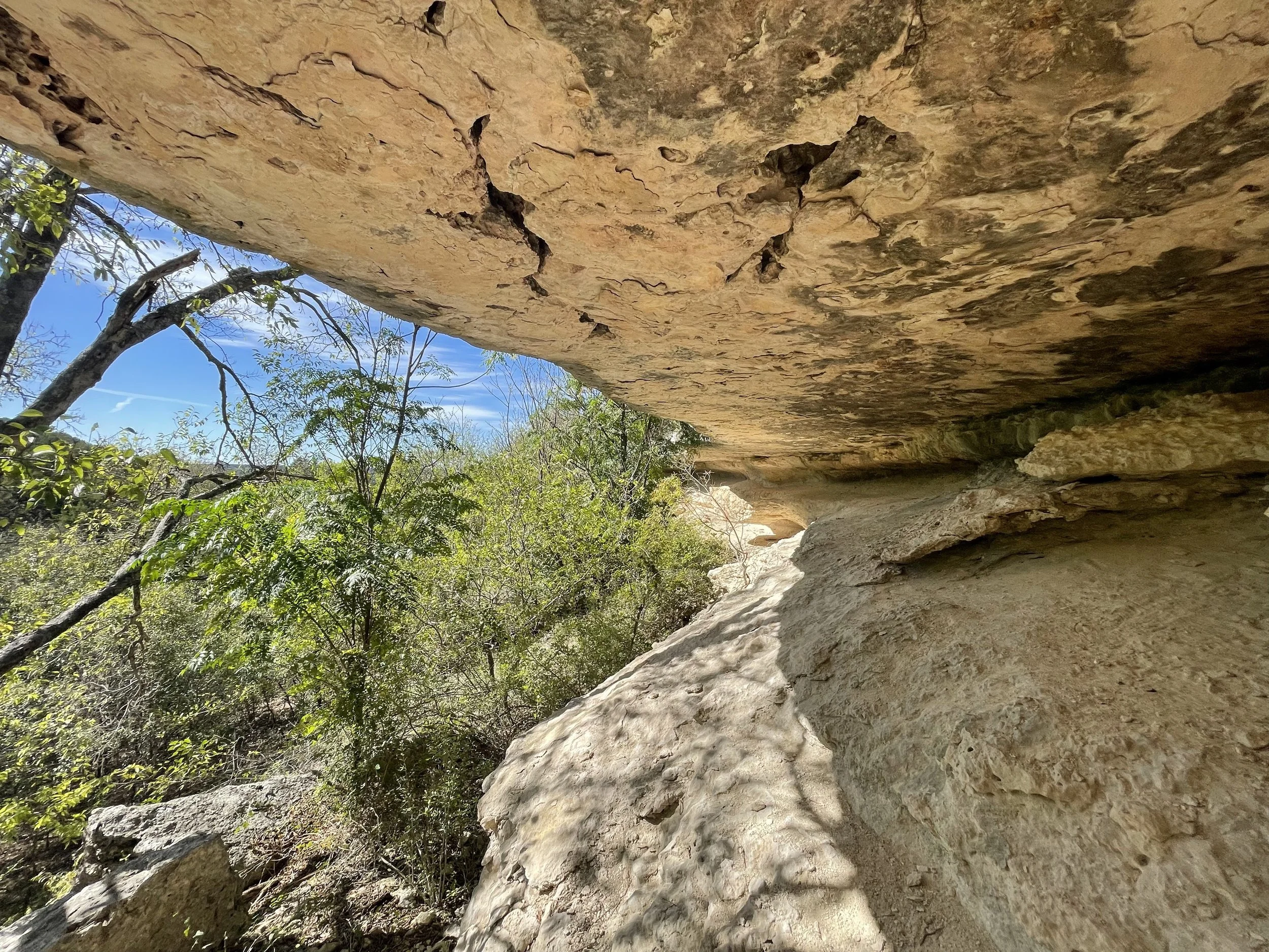 Photo Journal: High Hope Ranch - Glen Rose, TX