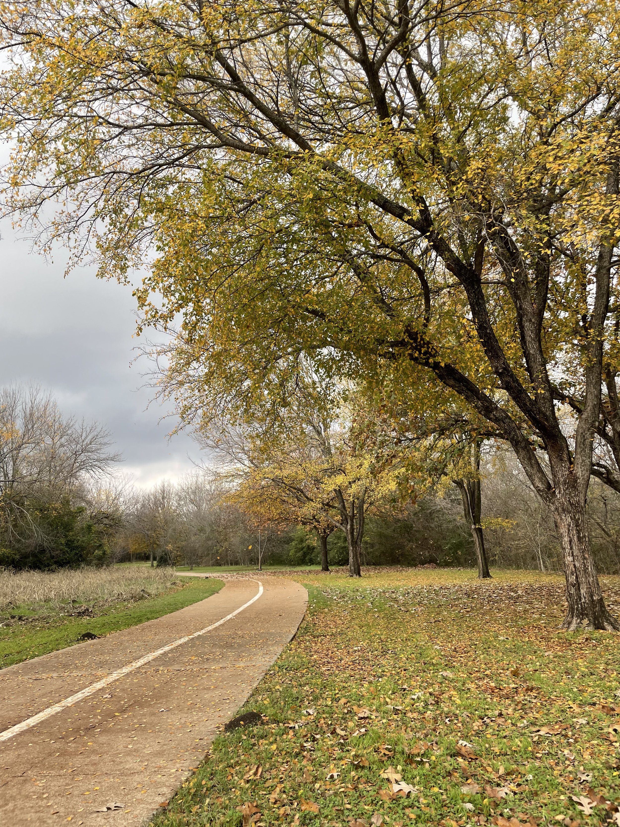 Photo Journal: River Legacy Parks - Arlington, TX