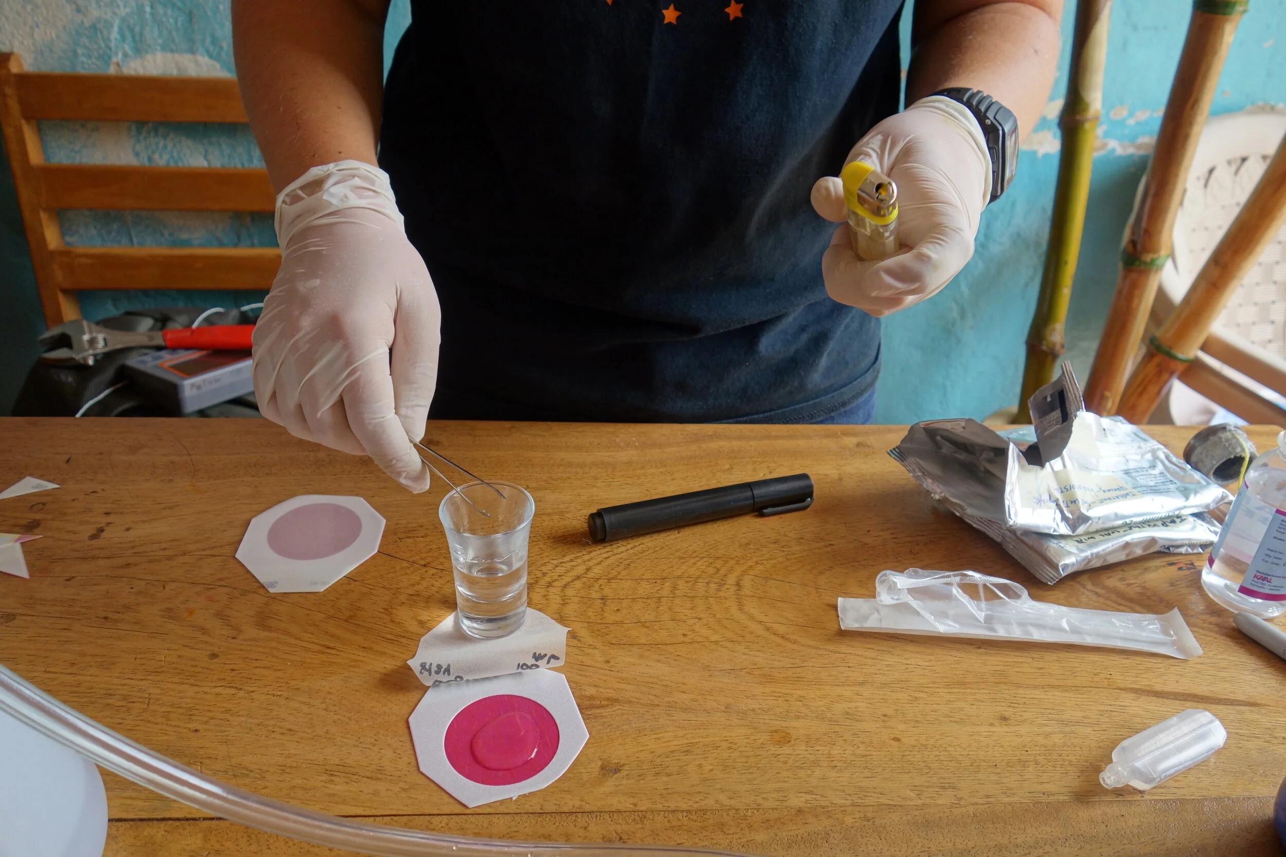 Microbiology Testing of the System