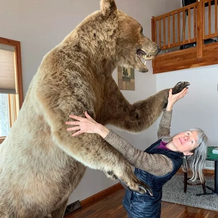 Tully Hall: You’re a Committee! How Jill Taylor’s Brain Characters Enrich AT Discovery