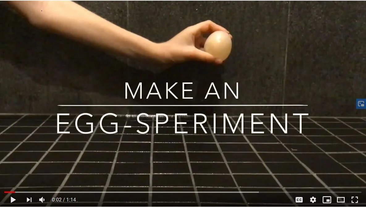 Eggsperiment - What does Ocean Acidification mean? 