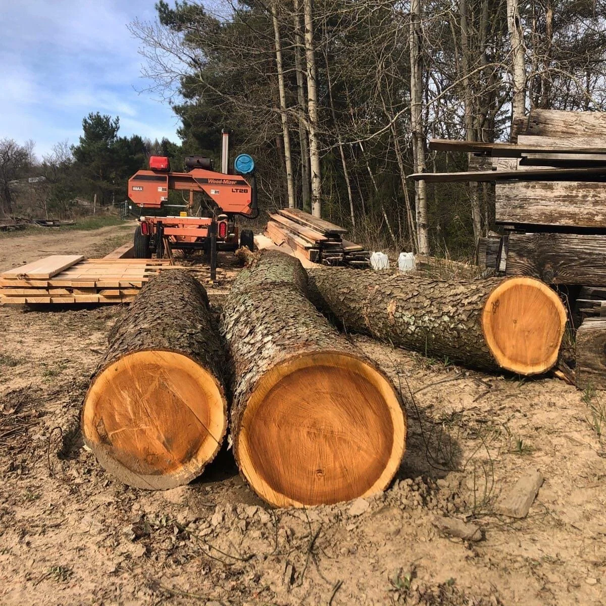 Three large logs of cut wood are laid on the ground in front of a wood cutting machine on a pickup truck. There are stacks of wood and a forested area in the background.