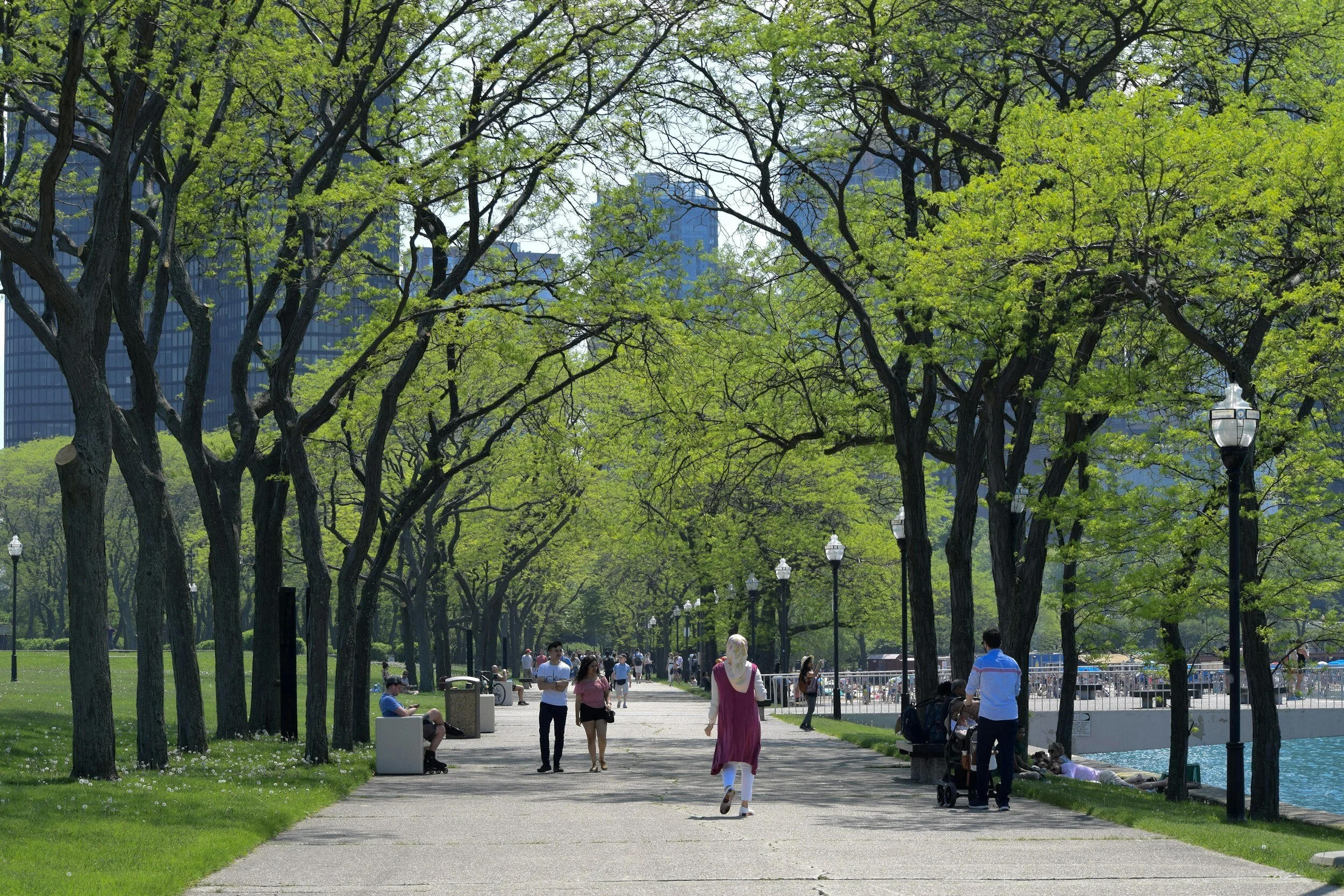 Nature and Mental Health