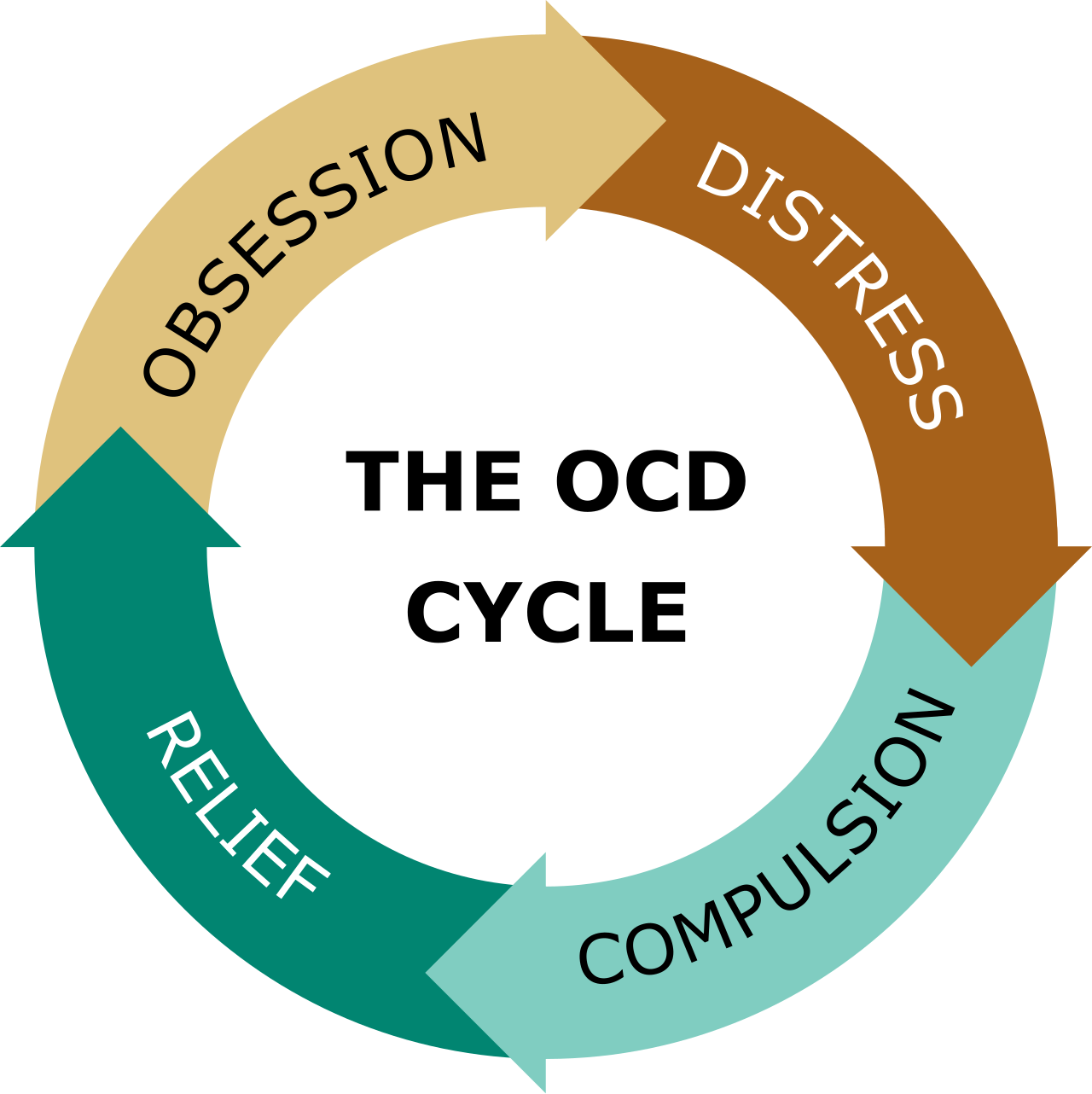 The OCD Cycle Explained